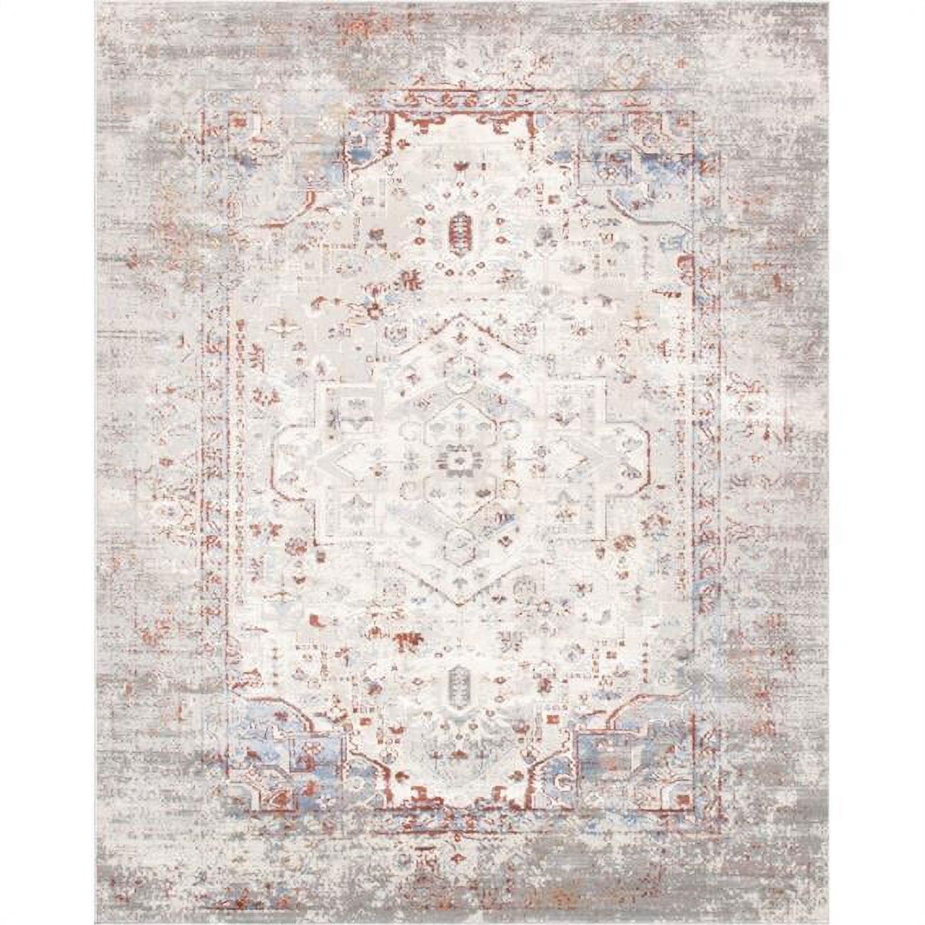 Efes Oriental Gray/Beige/Brown Area Rug
