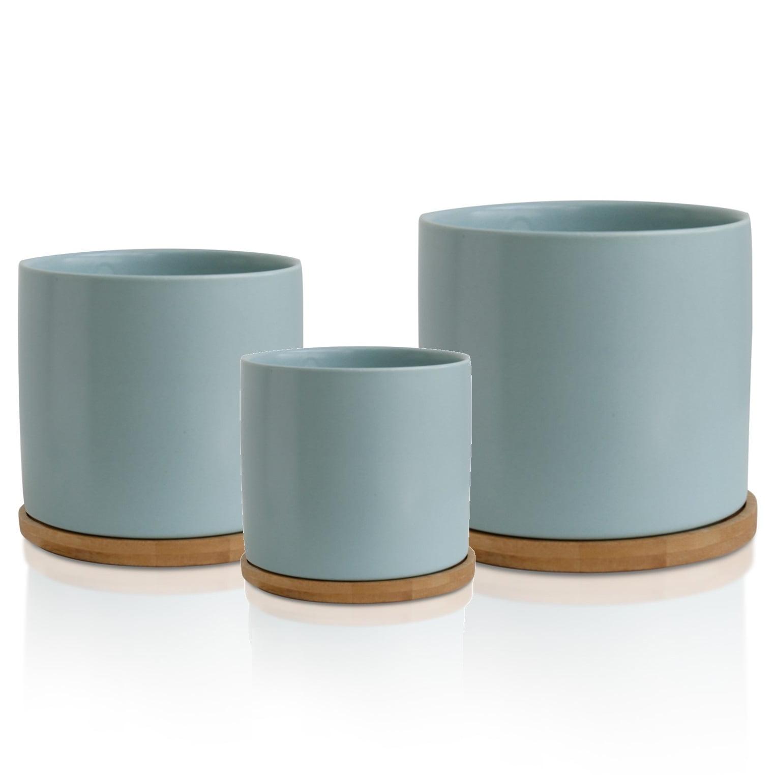 Pastel Blue Ceramic Plant Pots with Bamboo Coasters, Set of 3