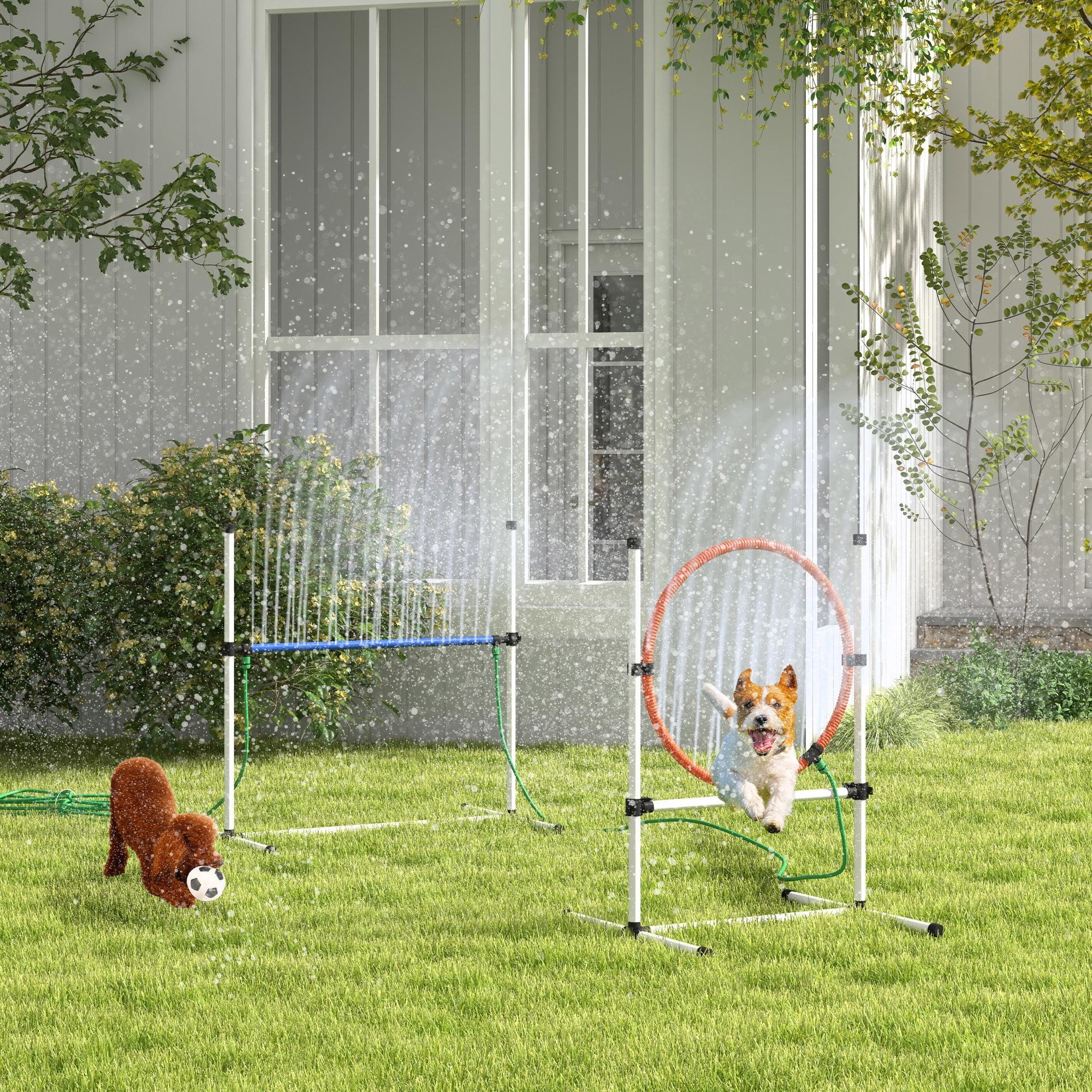 White and Orange 5-Piece Dog Agility Training Set with Water Spray