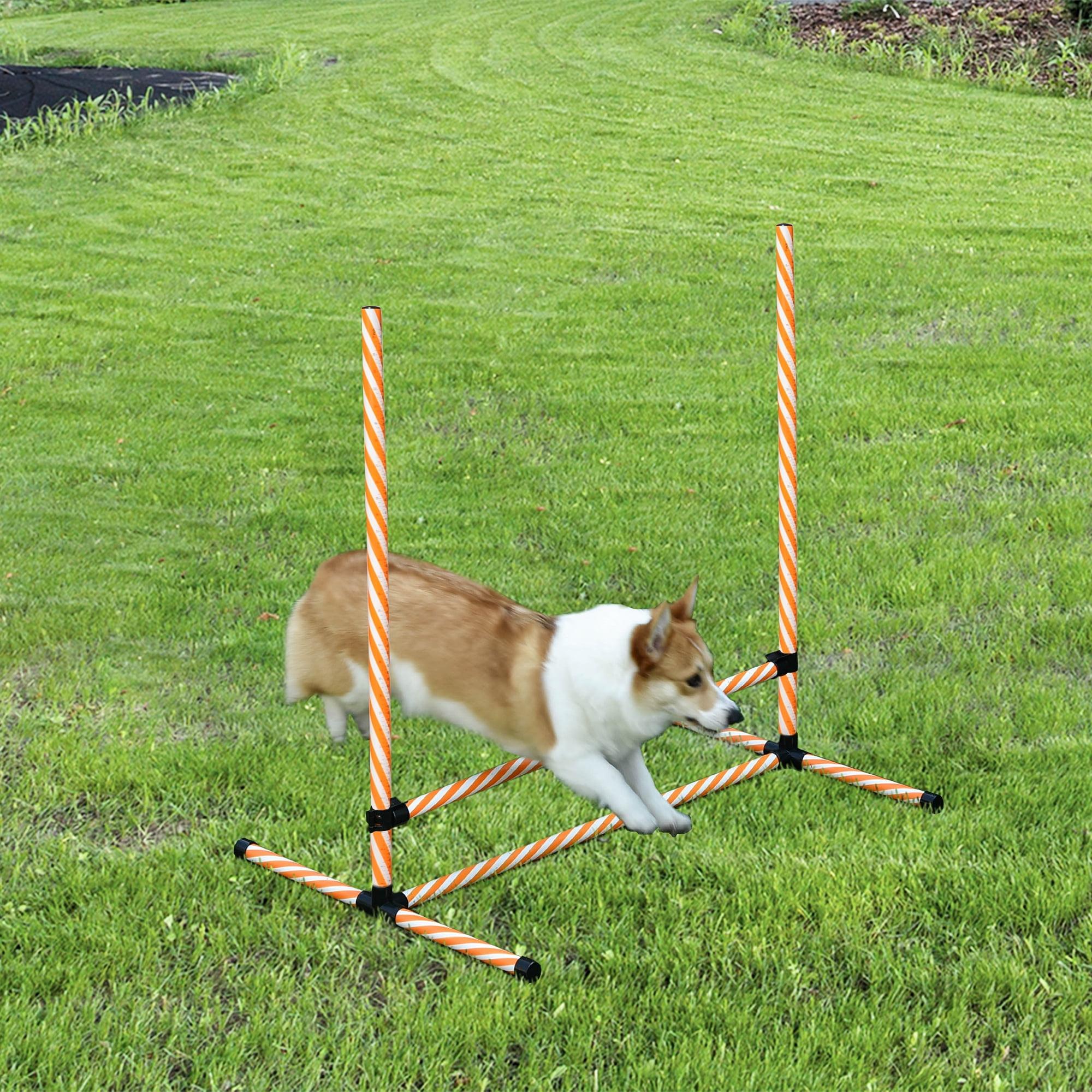 Adjustable Orange and White Dog Agility Training Set