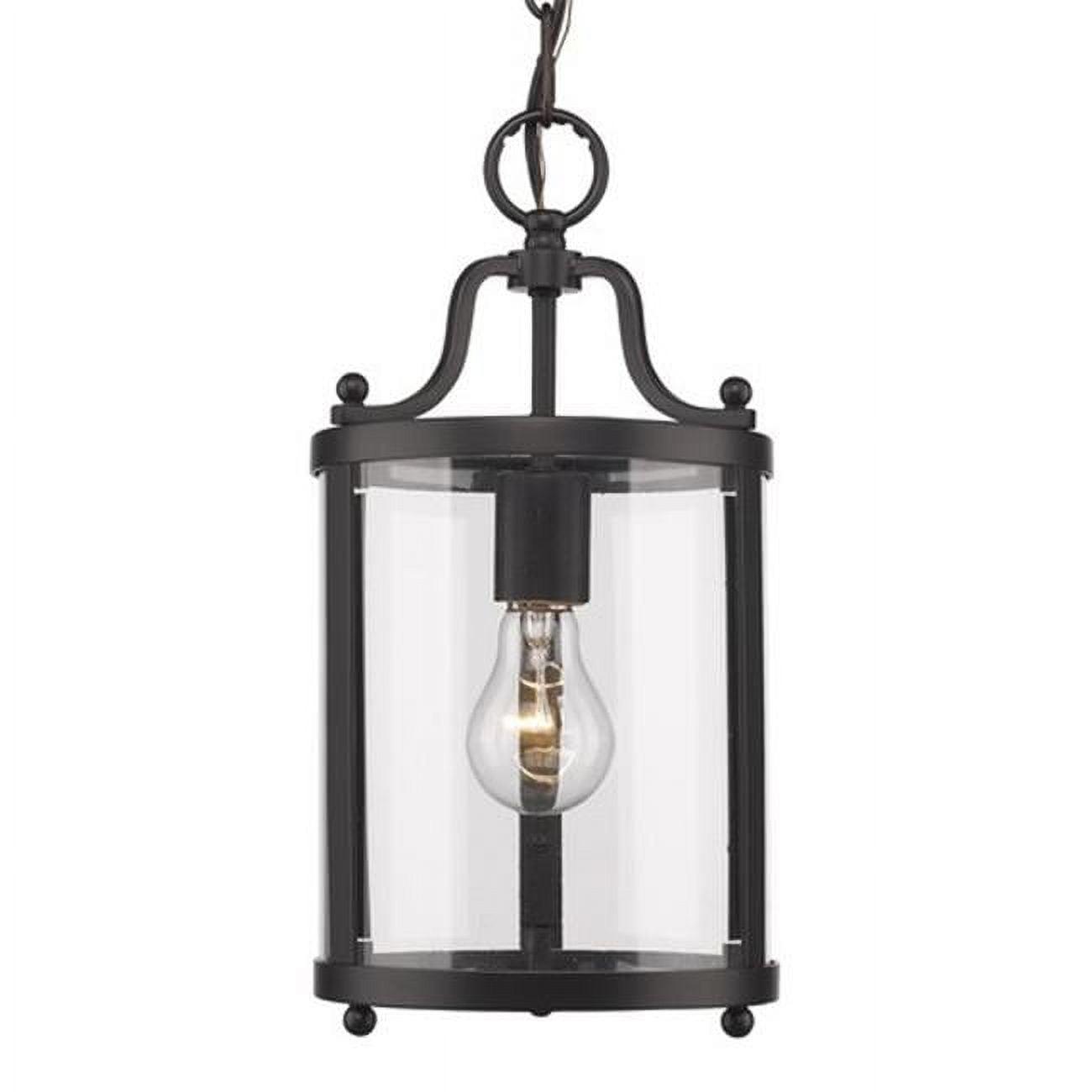 Black Mini Pendant with Clear Glass Shade