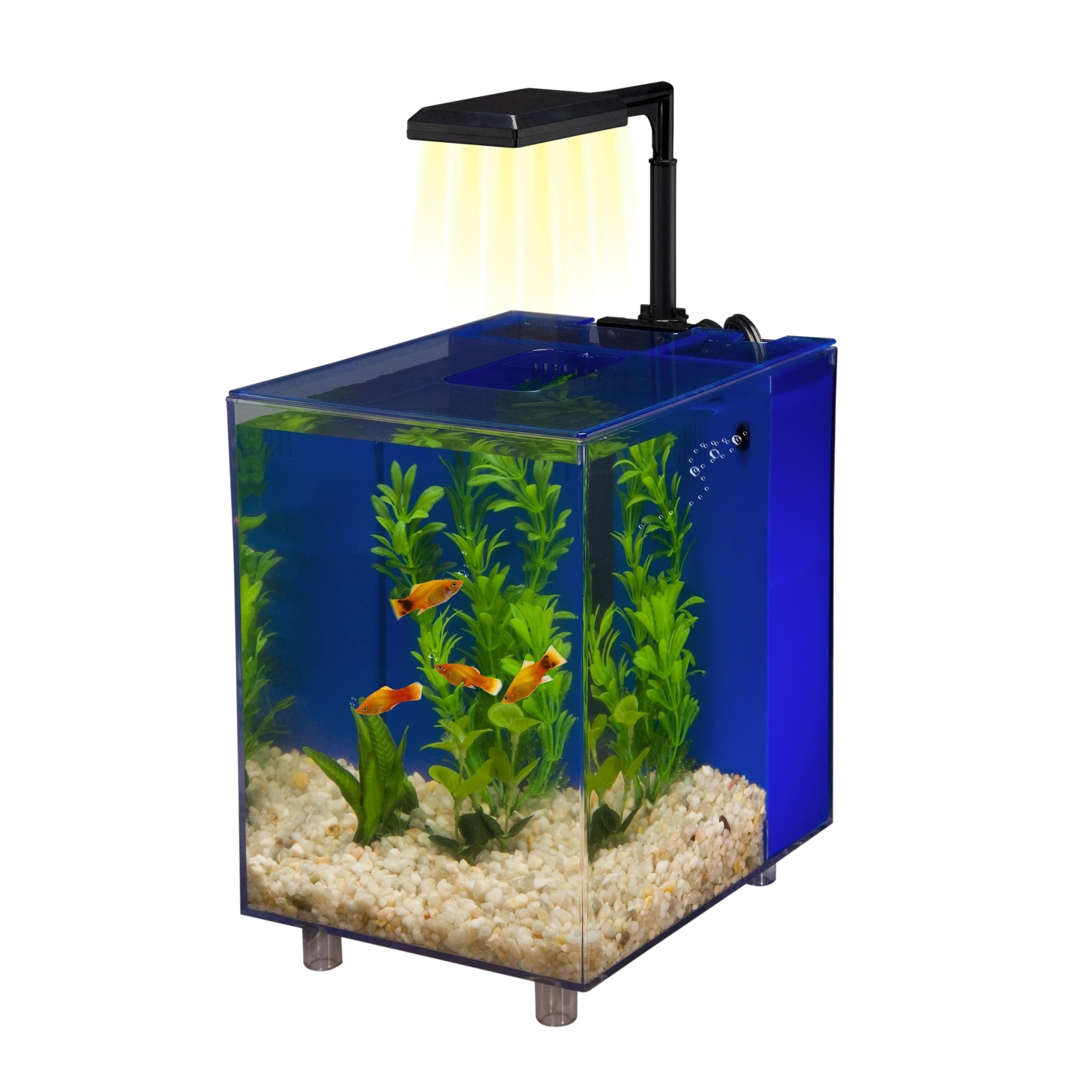 Blue Glass Cube Desktop Aquarium with Filtration System