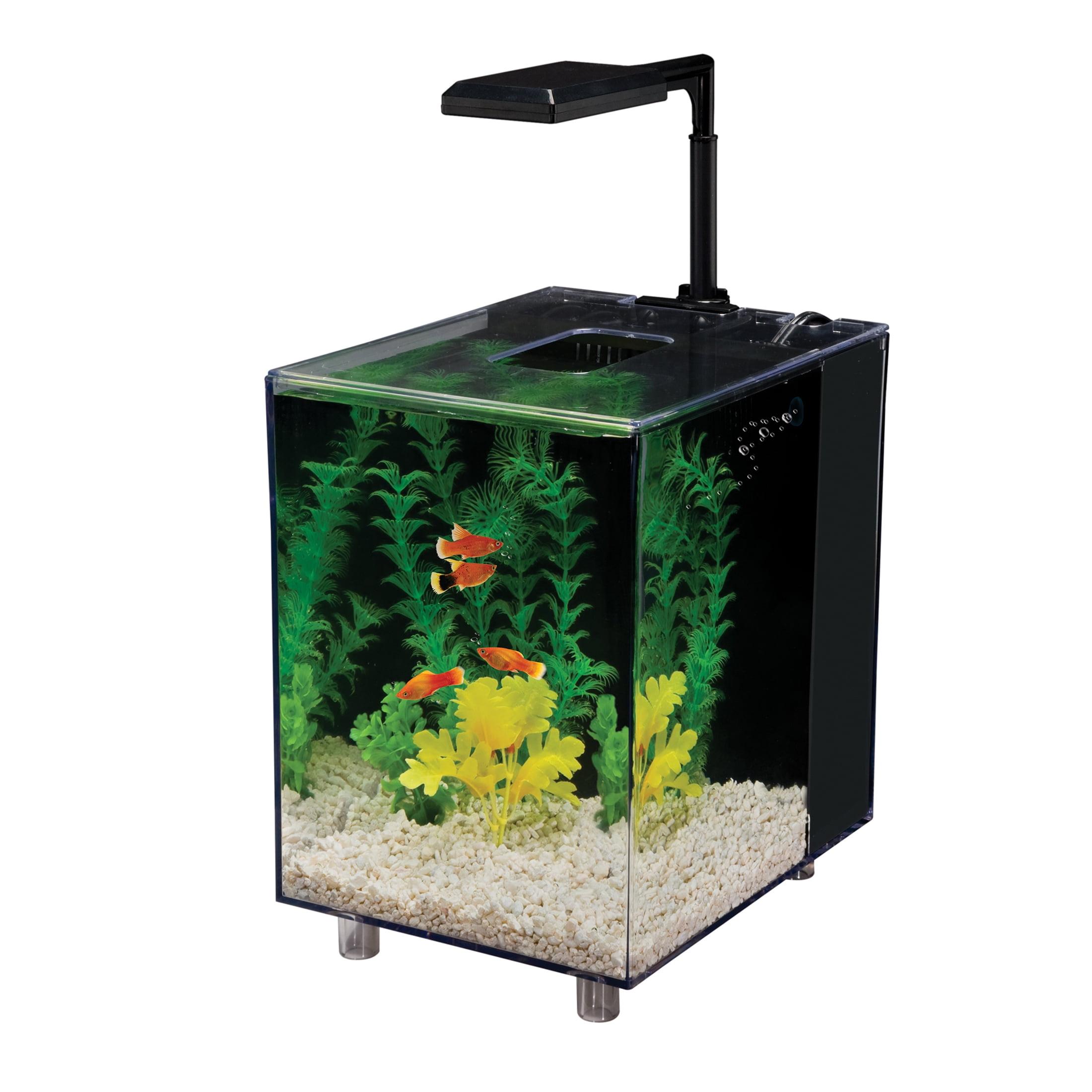 Margo 2 Gallon Desktop Aquarium Tank