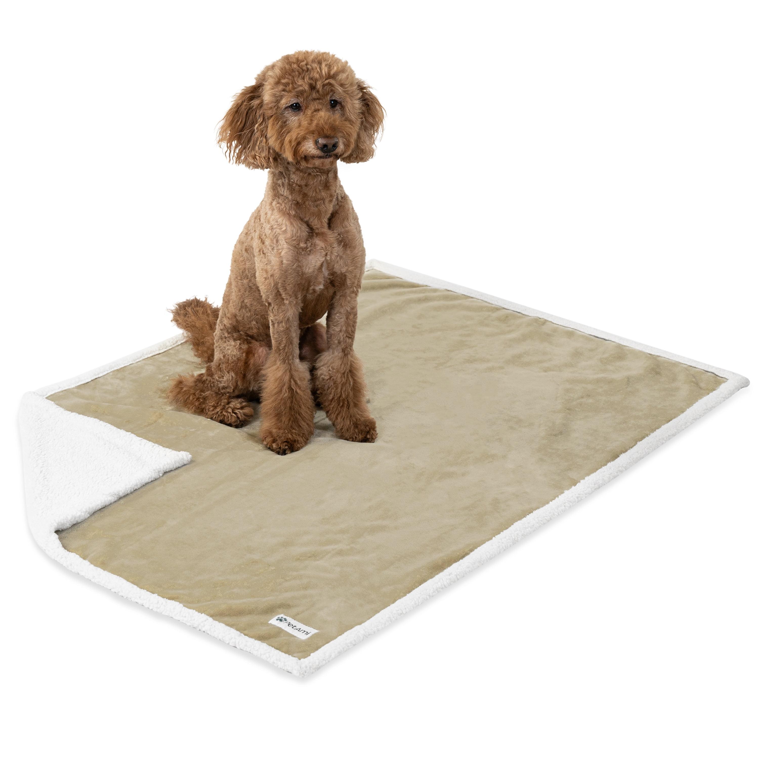 PetAmi Outdoor Pet Blanket