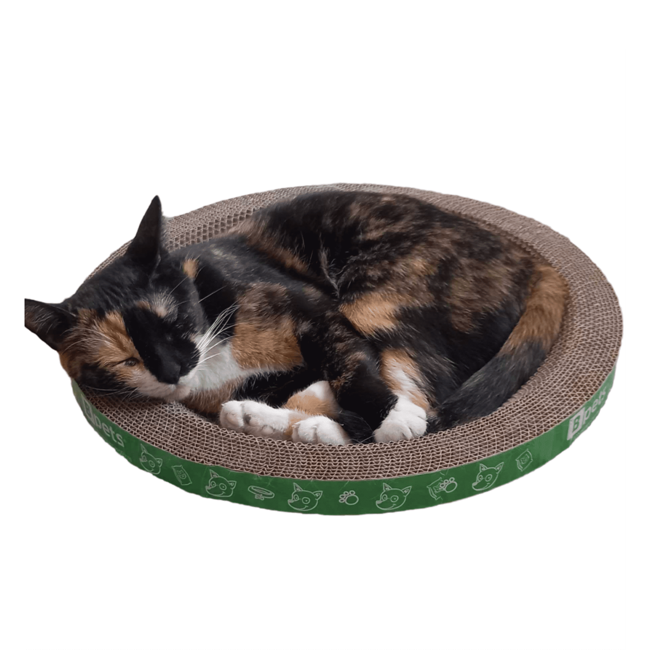PetPro B Kitty Round Scratcher - Fun and Durable Cat Scratching Pad for Happy, Healthy Cats…