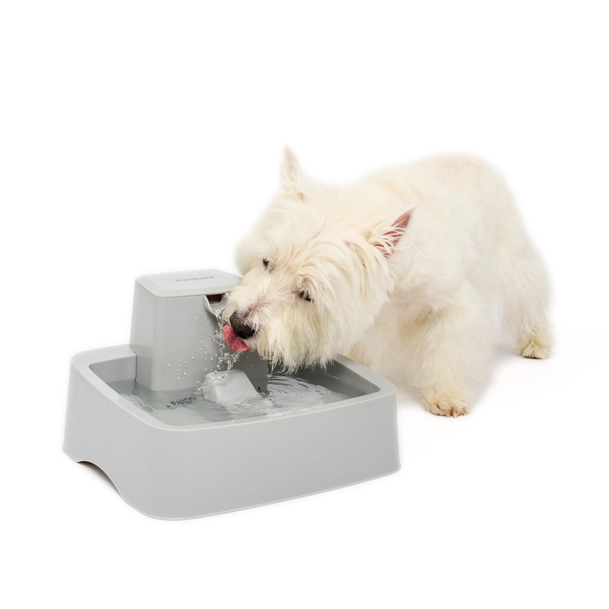 PetSafe 1 Gallon Gray Plastic Automatic Pet Water Fountain