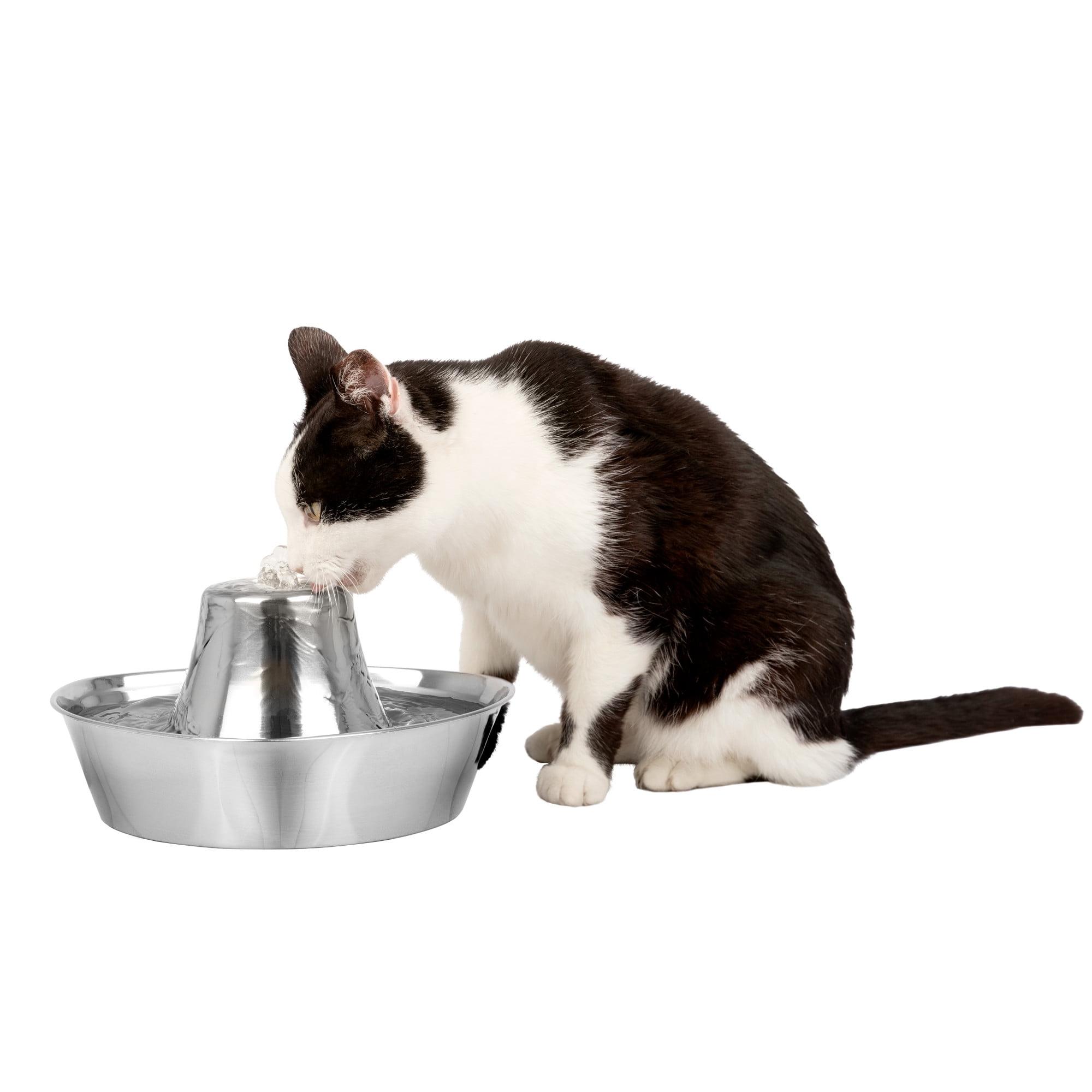 Stainless Steel 60 oz Pet Water Fountain