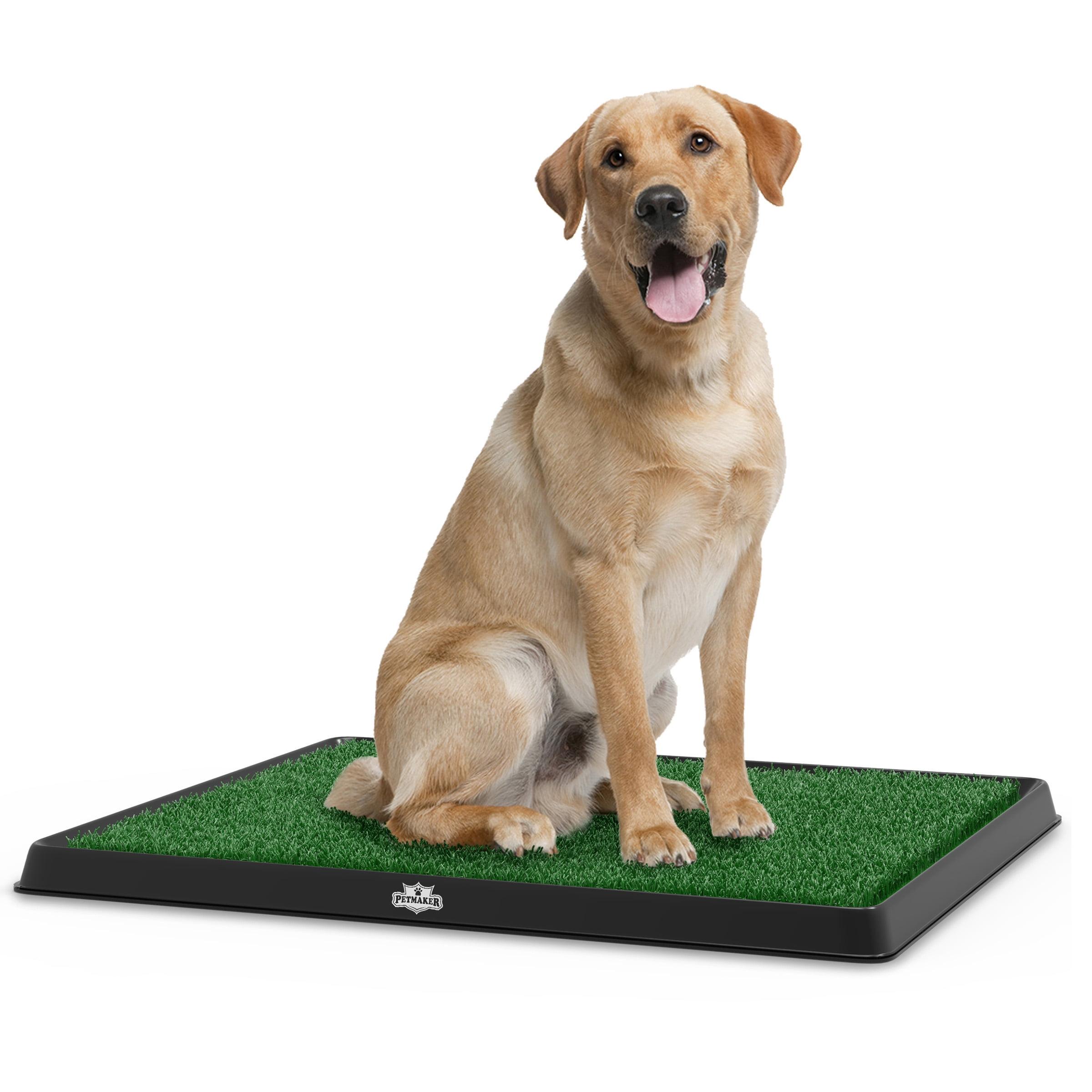 Pet Adobe Artificial Grass Potty Trainer Mat 20x25