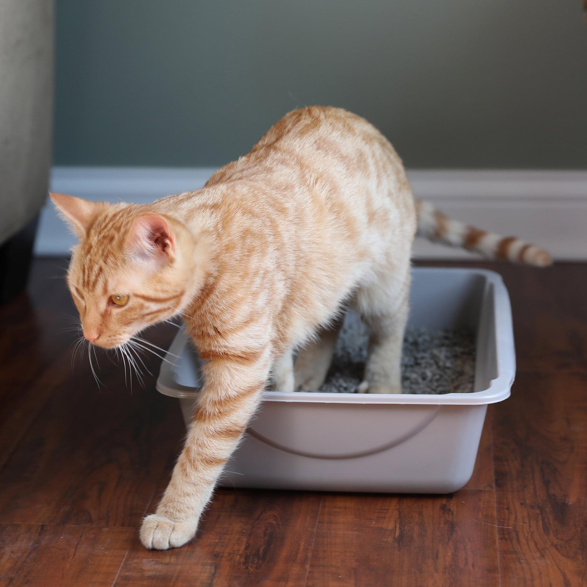 Plastic Litter Box