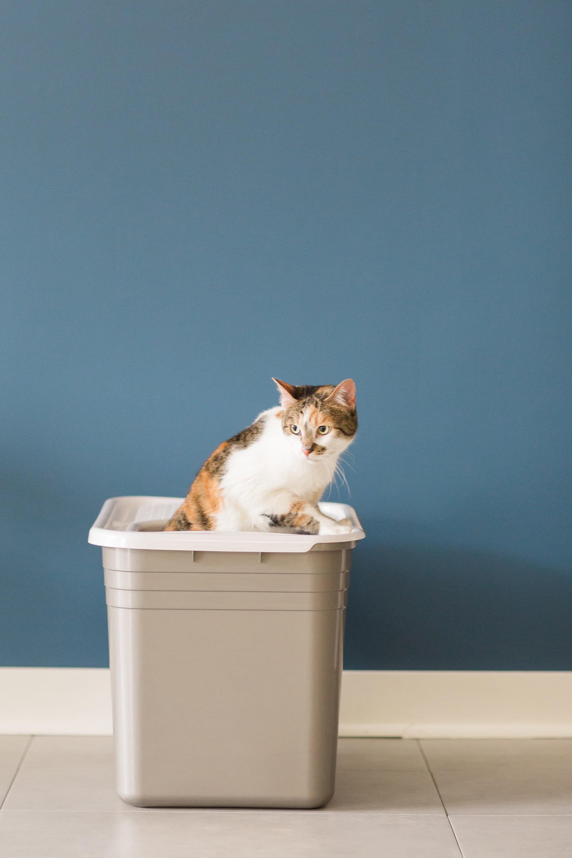 Plastic Enclosed Litter Box