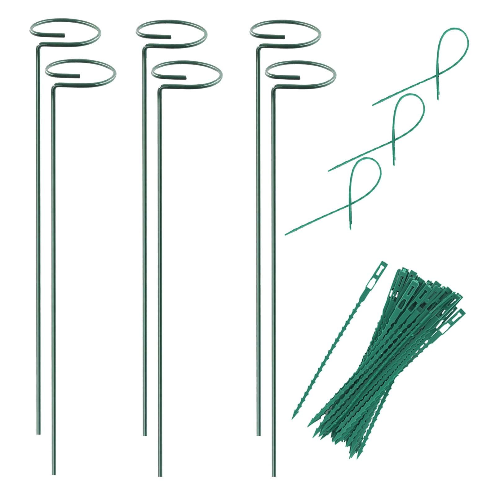 Plant Stake - 6 Pack, Garden Single Stem Stake Plant Cage Rings, Single Stem Plant Stakes, Plant Twist Ties, for Flowers Amaryllis Tomatoes Peony Lily Rose (15.9 inch) C48