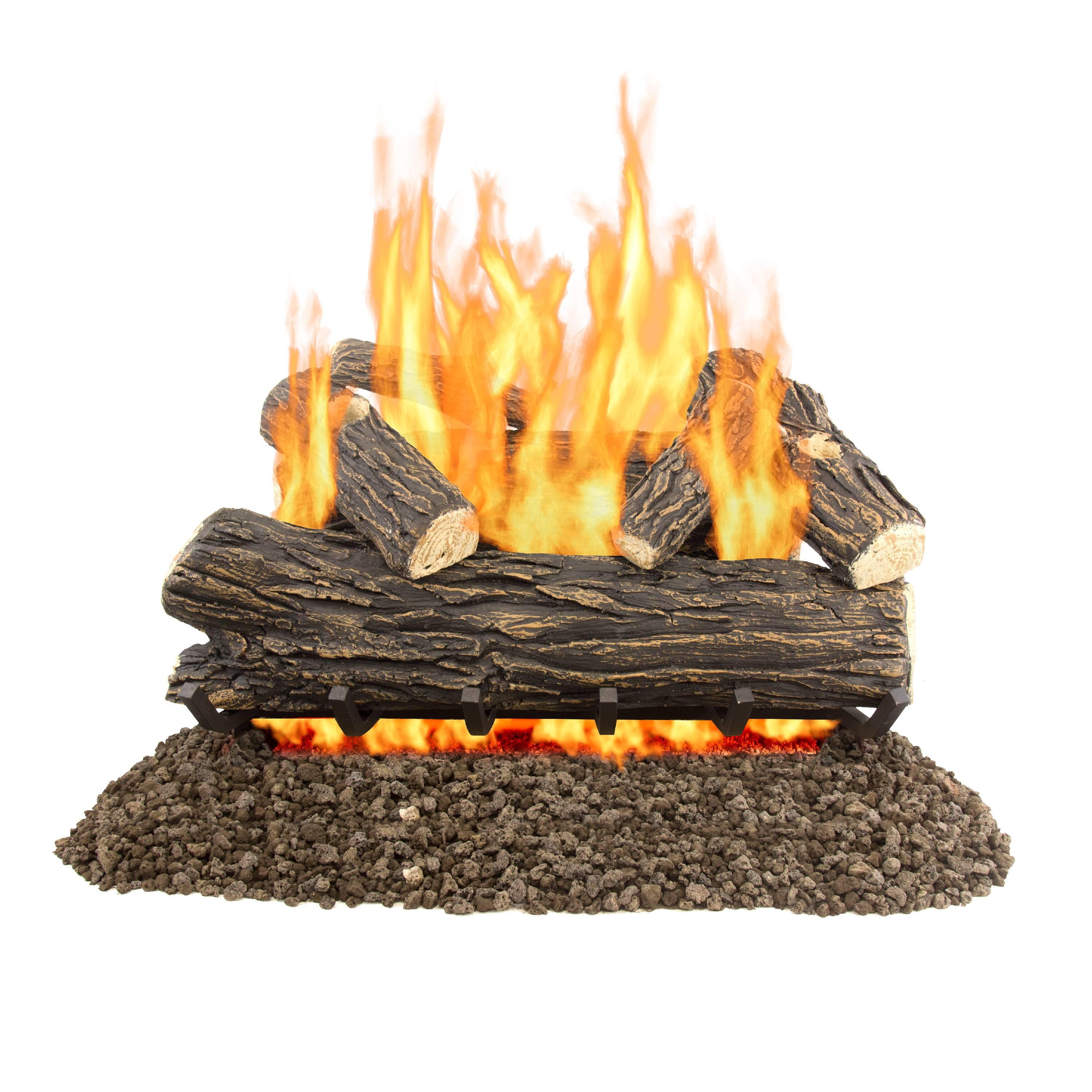 Willow 20'' W Natural Gas / Propane Fireplace Logs