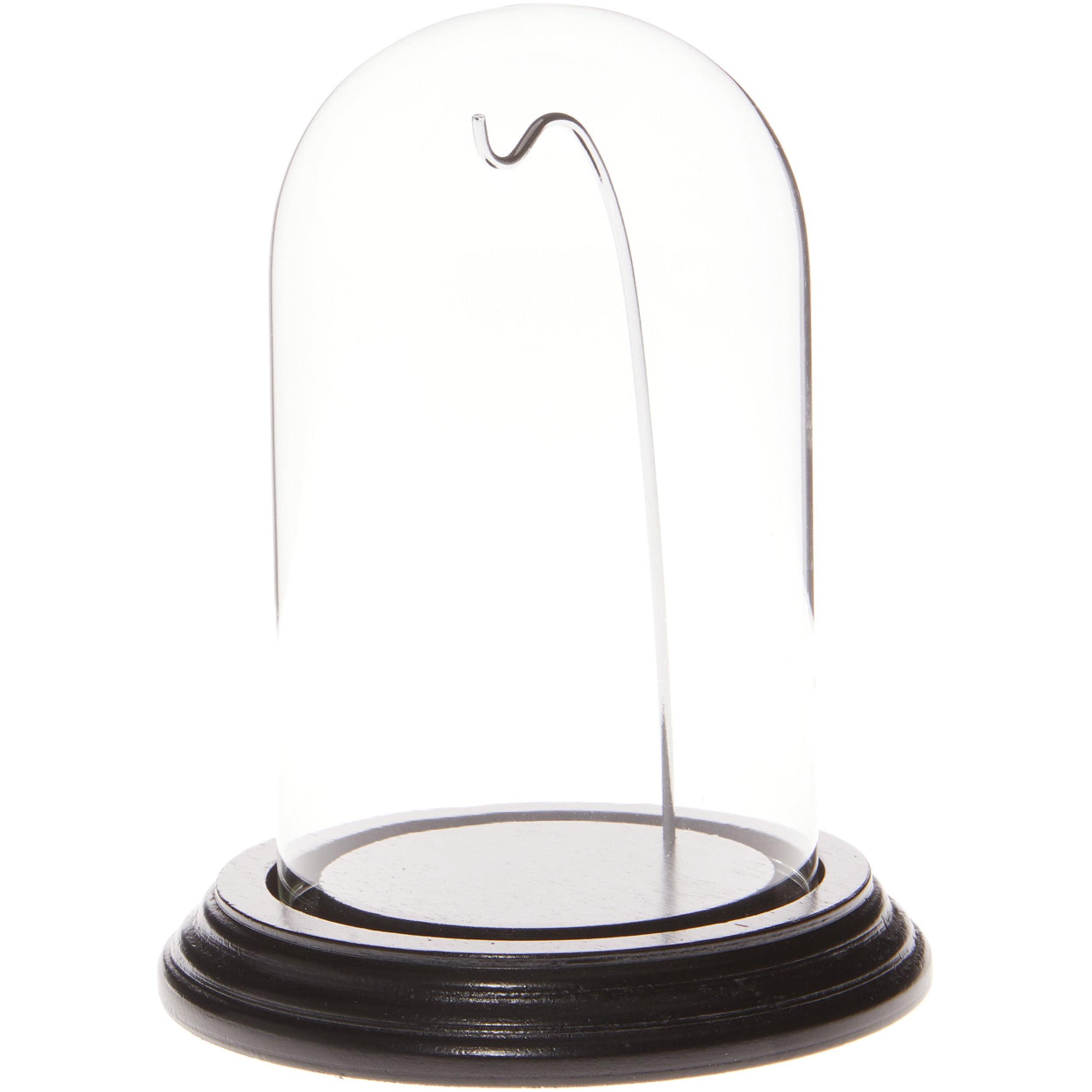 Silver and Black Glass Display Dome with Wood Base