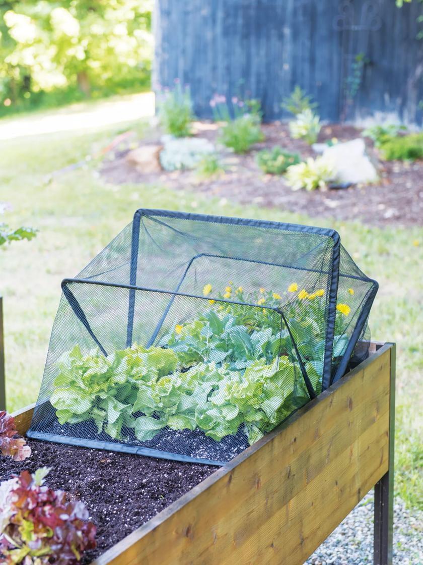 Gardener's Supply Company Pop-Up Bird & Pest Garden Netting