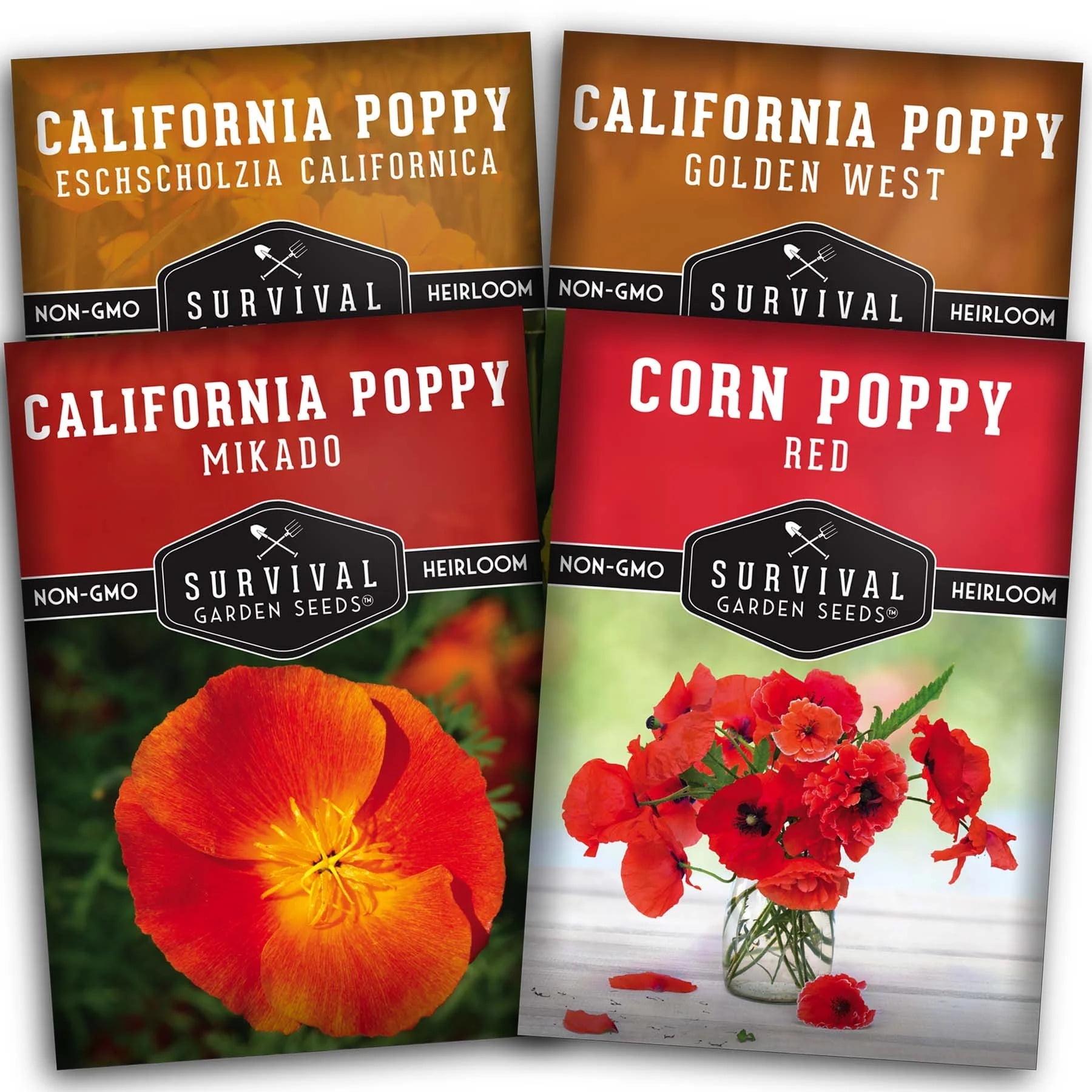 4 Packs Poppy Flower Seed - California, Golden West, Mikado, Red Corn - Full Sun Annual