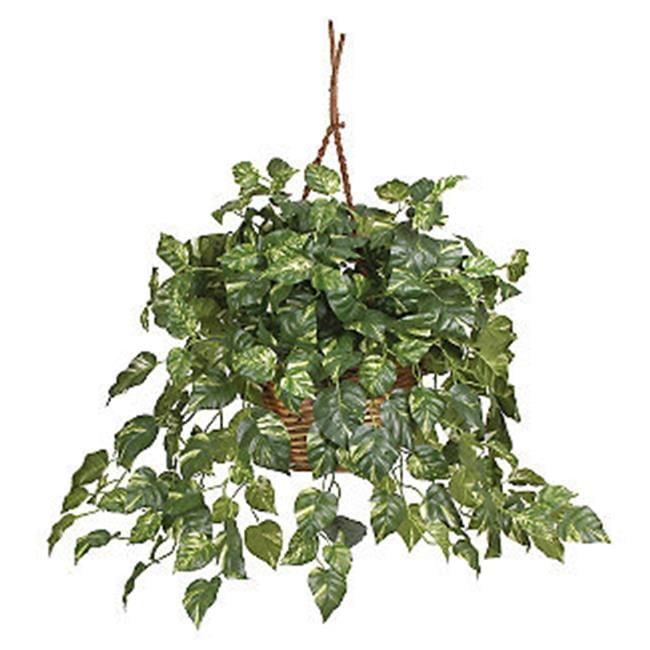 Pothos Hanging Basket Silk Plant - Nearly Natural