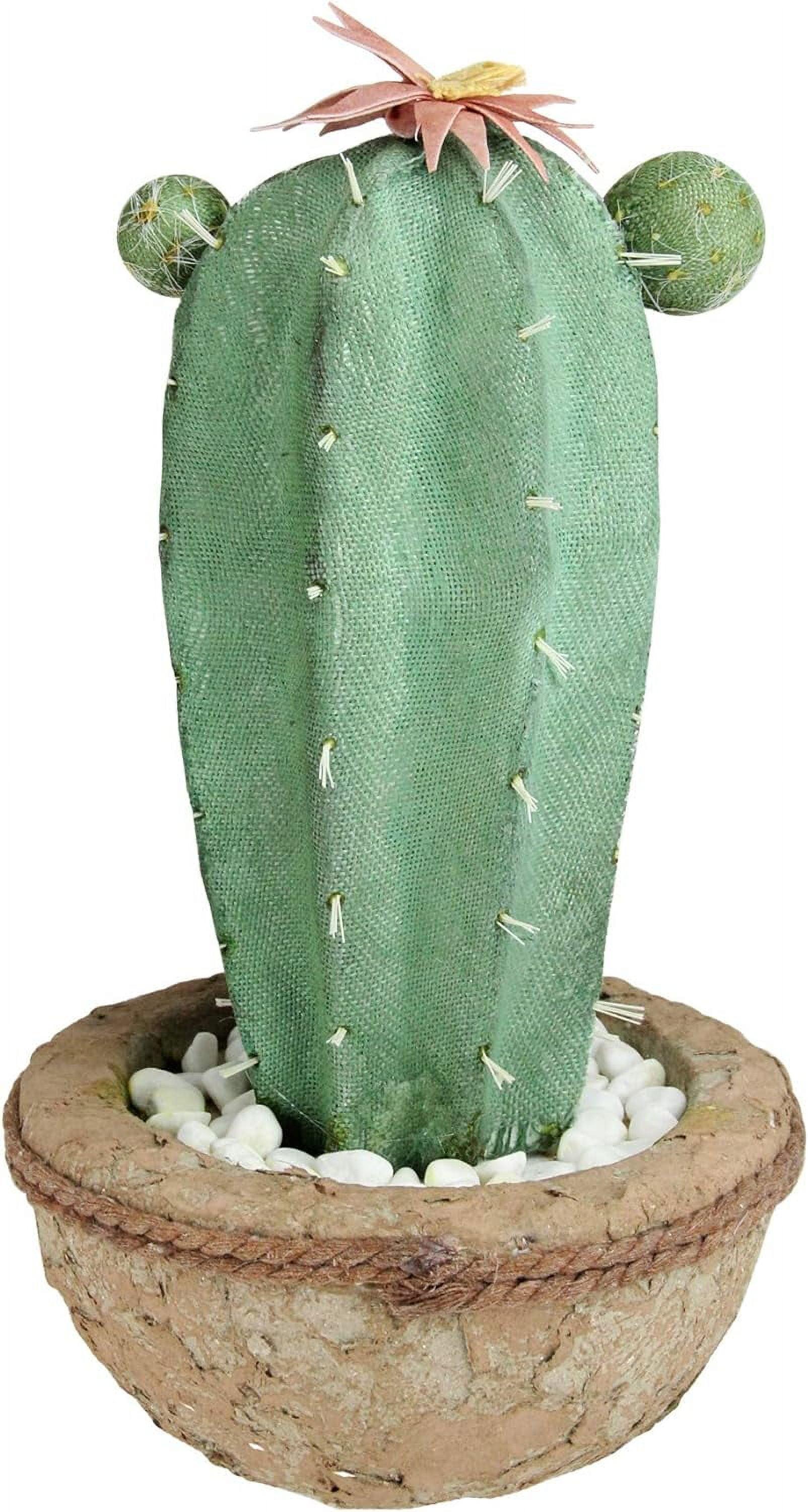 14" Southwestern Silk Potted Green & Brown Artificial Cactus