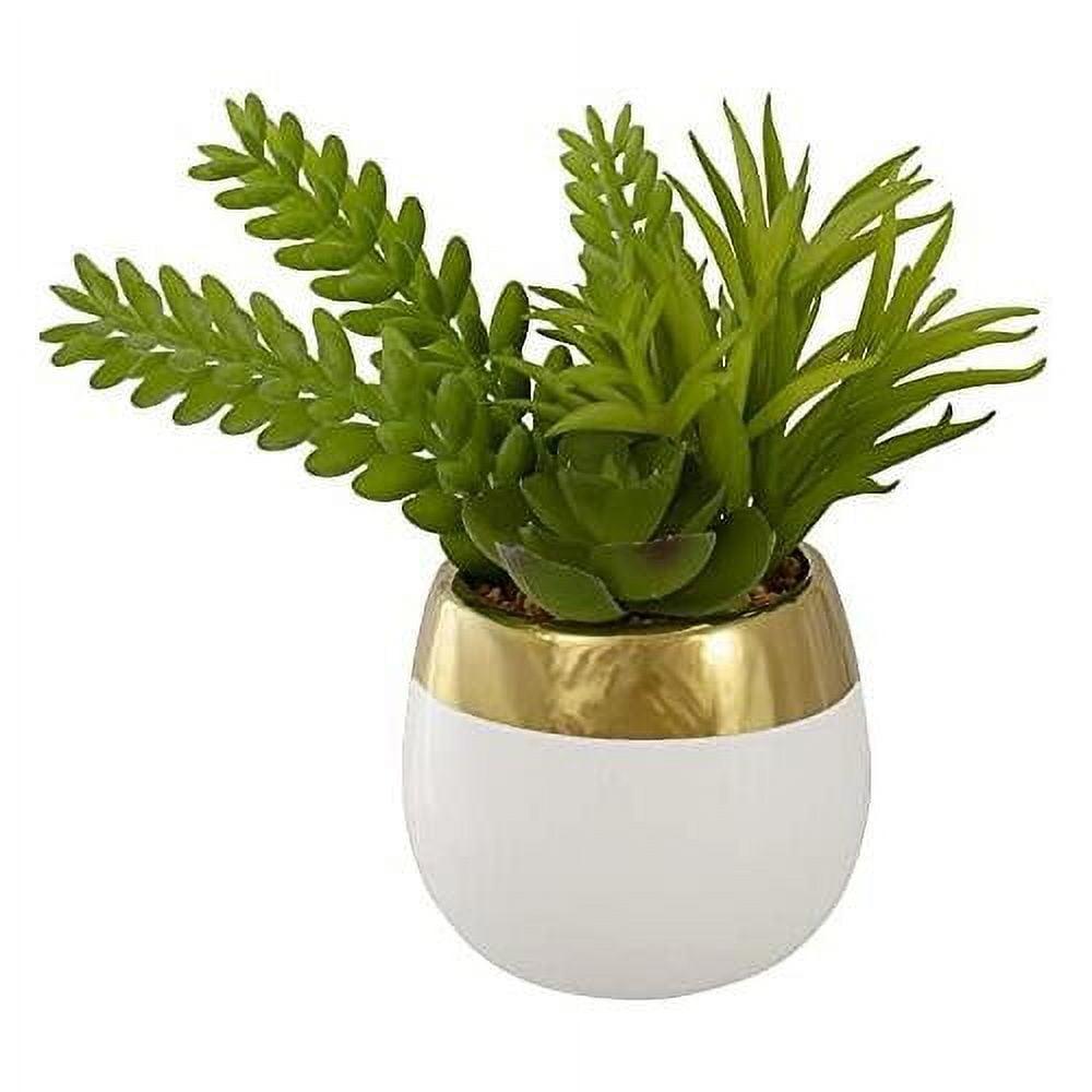 6.5'' Faux Succulent Plant in Ceramic Pot