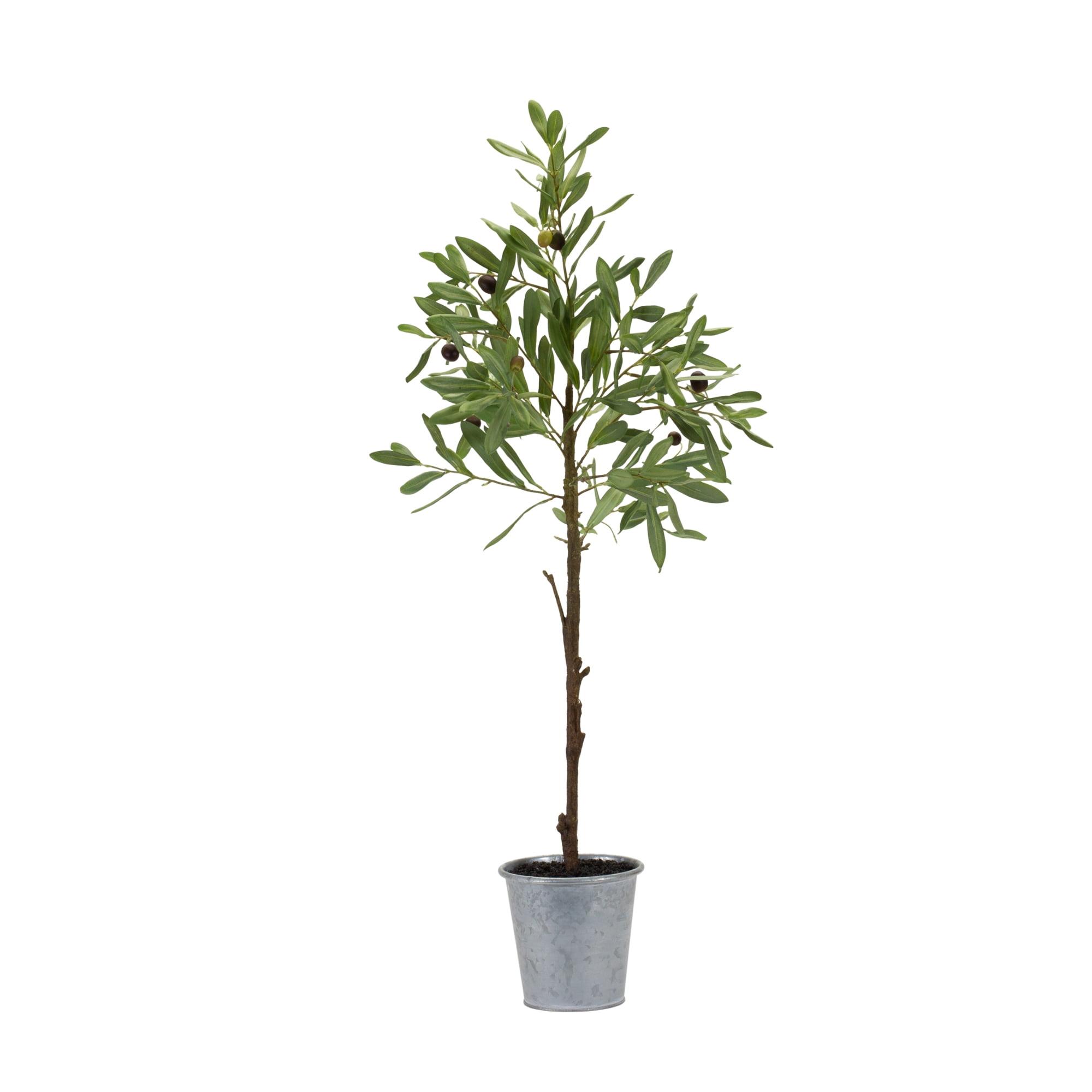 Elegant Silk Potted Olive Tree in Traditional Silver Container, 31.5"H
