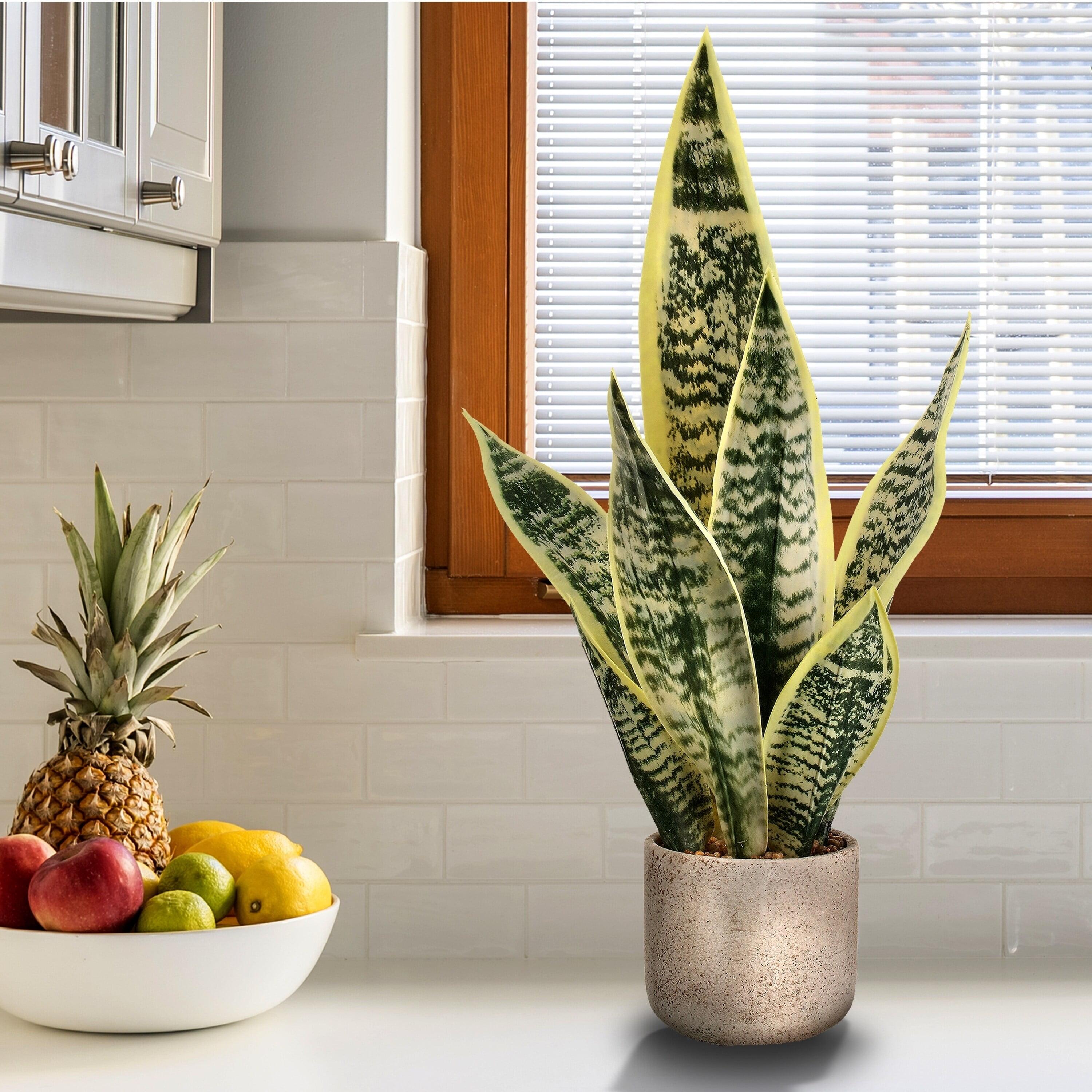 21" Green Artificial Sansevieria Plant in Cement Pot