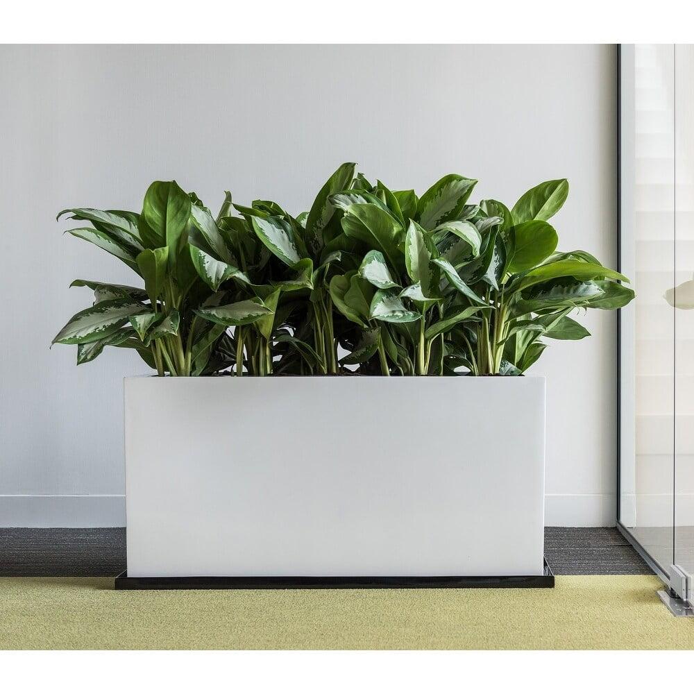 Pottery Pots USA Inc. Pottery Pots Jort Small Fiberstone Indoor Outdoor Modern Rectangle Planter, 16 Inch Tall White 32"