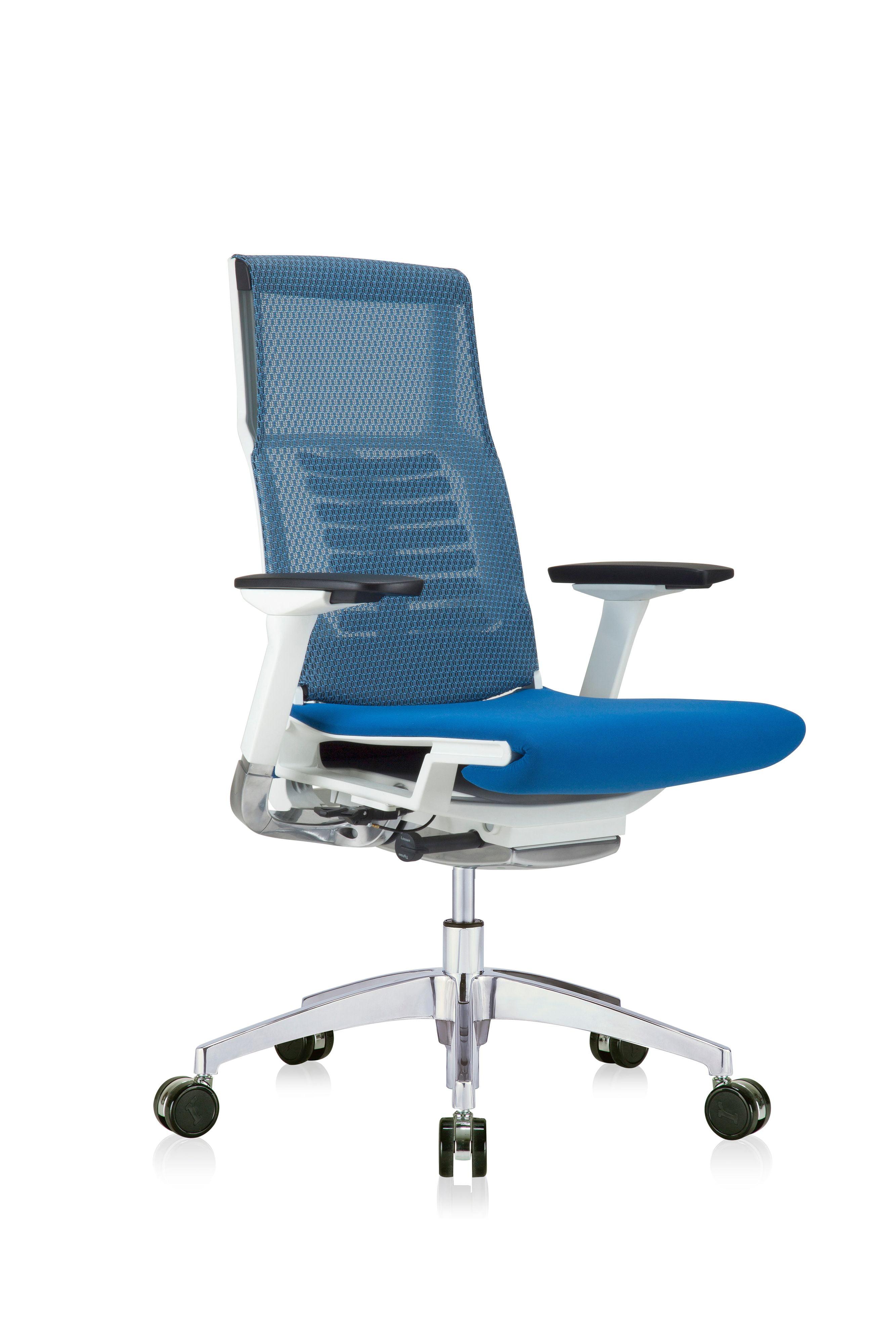 Ergonomic Mesh Executive Chair with Headrest