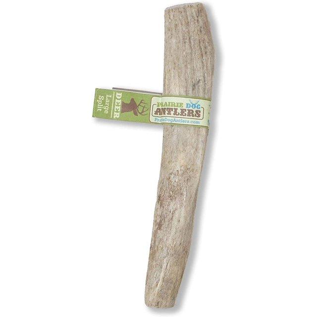 Prairie Dog Antlers | North American Split Antler | Large | Naturally Shed | Hand Harvested | Nutrient Rich | 6-7.5 inches long