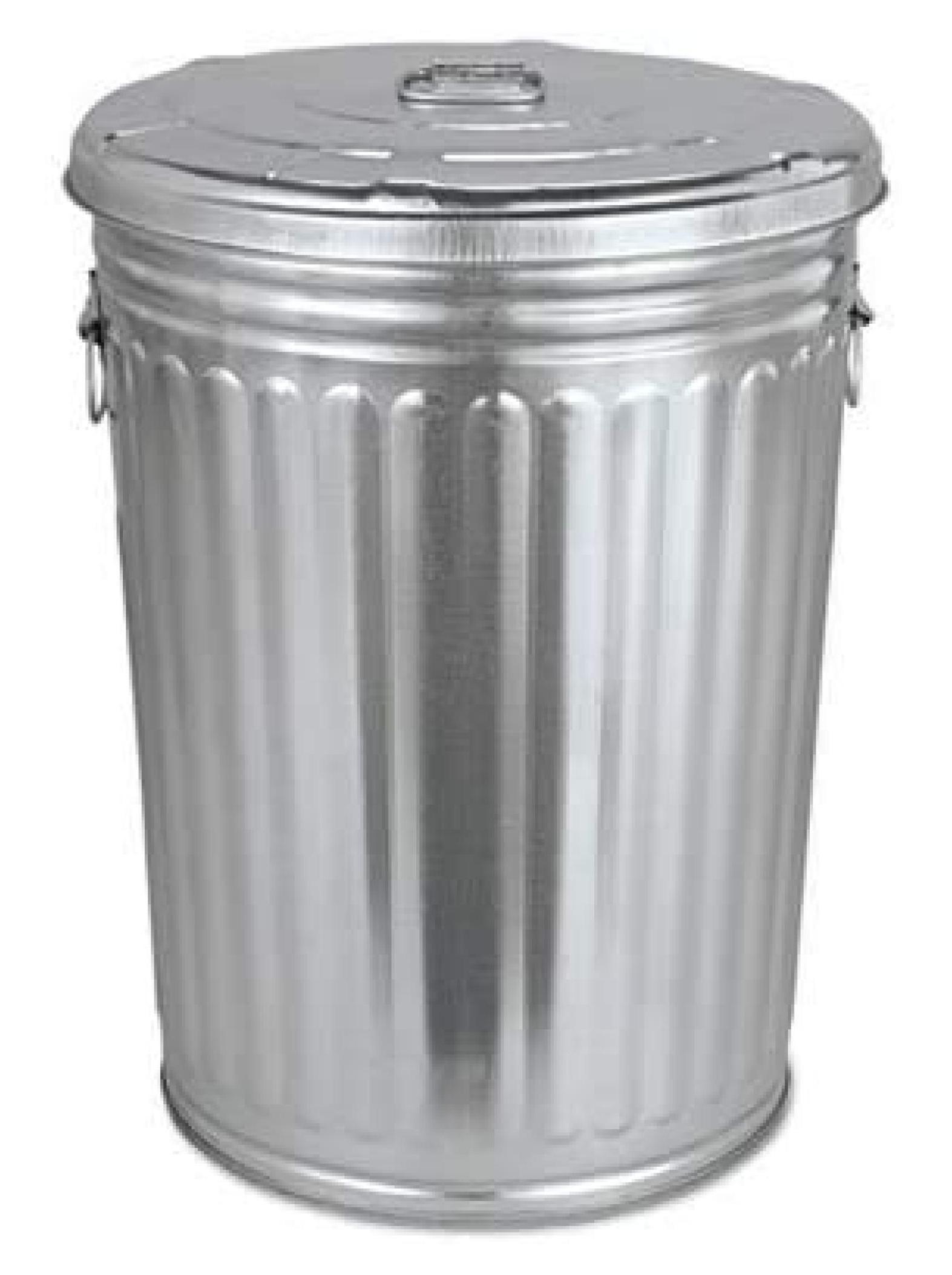 Pre-Galvanized Trash Can with Lid Round, Steel, 20gal, Grey, Outdoor Garbage Can.