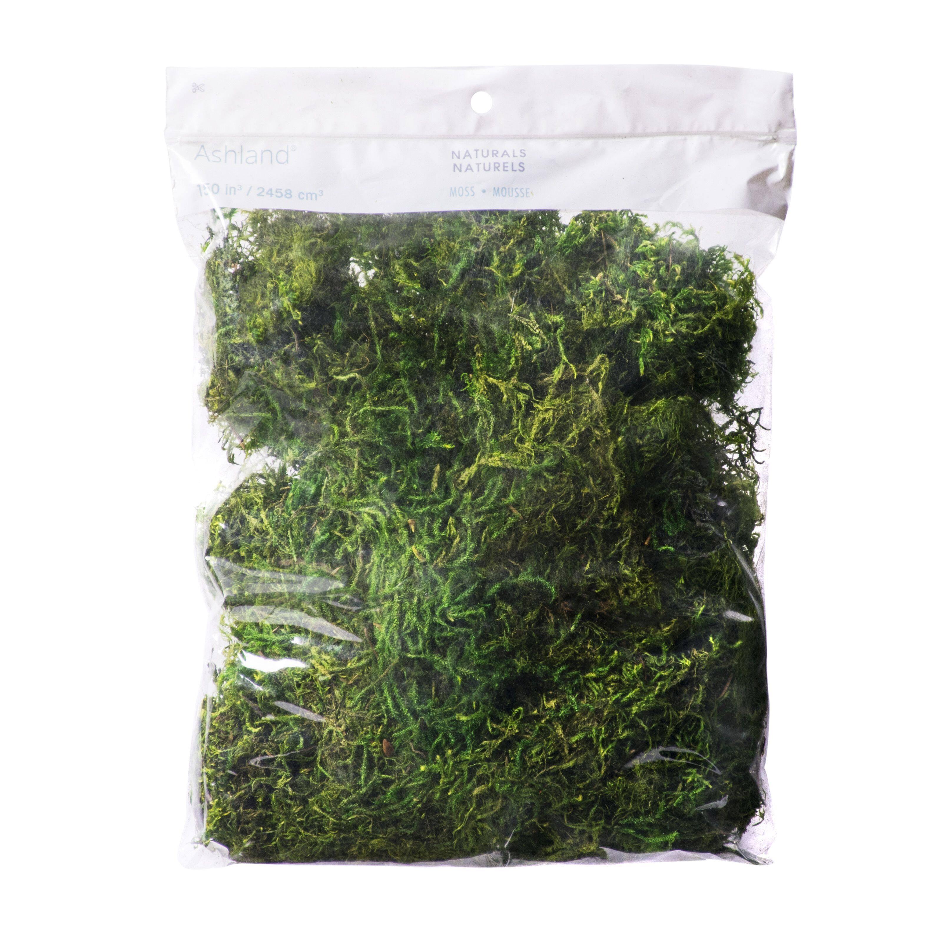 SuperMoss Preserved Forest Moss Decorative Filler: Basket Liner, Soil Topper, Craft Projects - Green