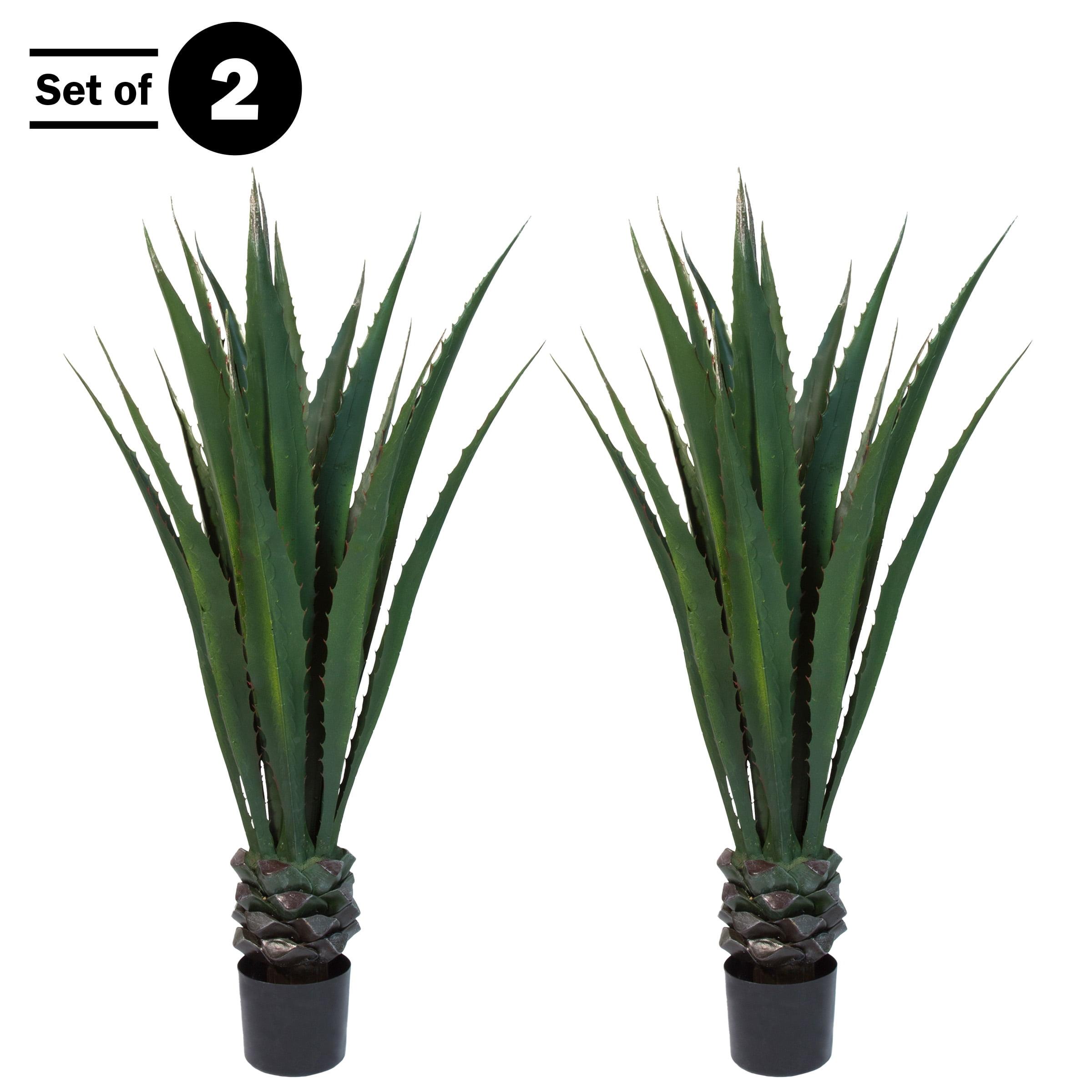 52-Inch Green Plastic Agave Faux Succulent Floor Plant Set