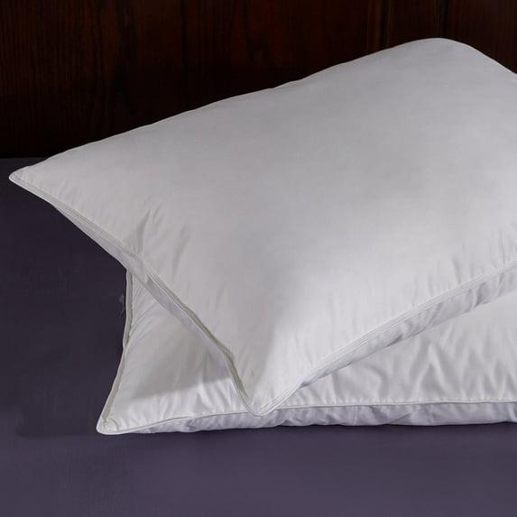 Down Blend Medium Pillow (Set of 2)