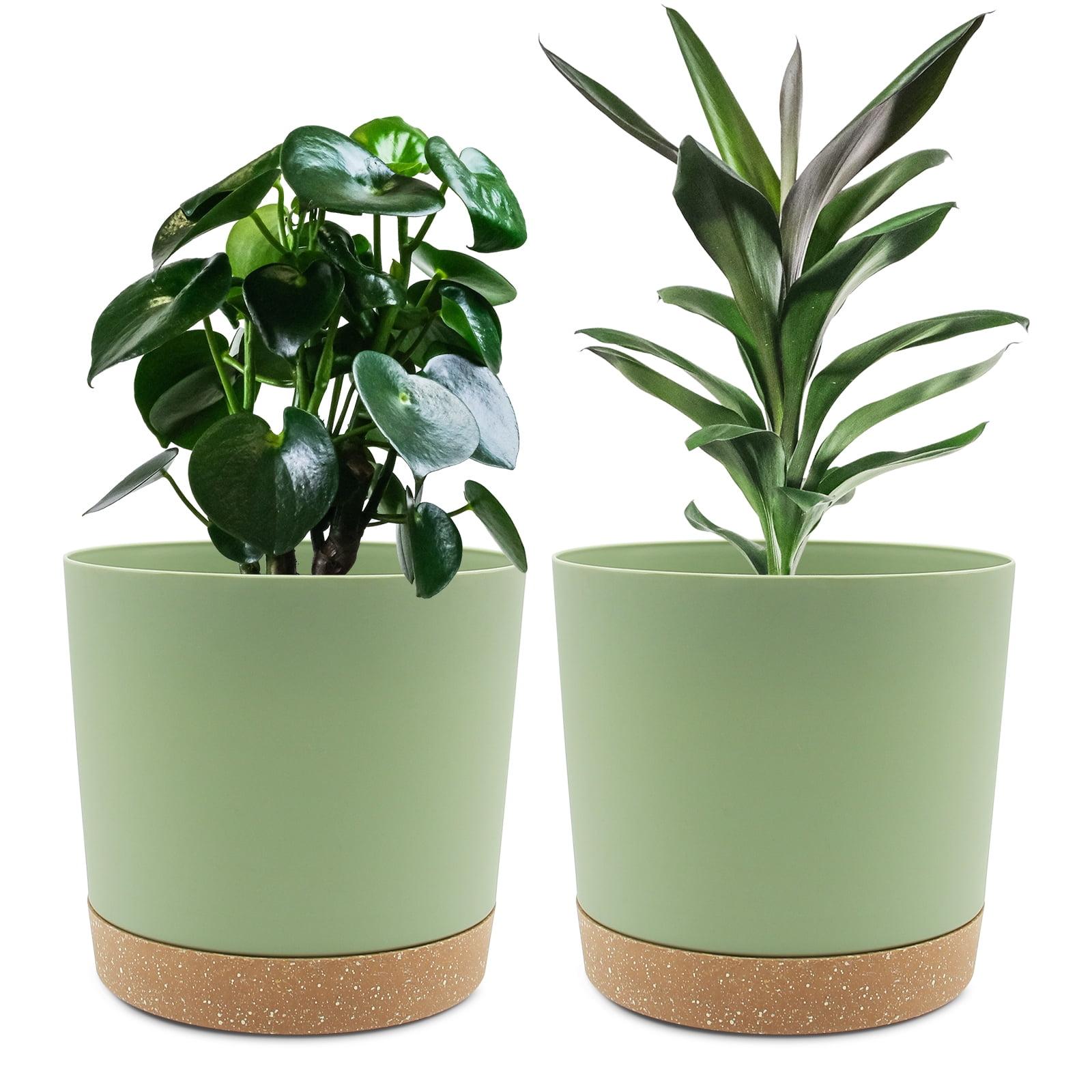 QLFSCXG Plant Pots Set of 2 Pack 8 inch,Planters for Indoor Plants with Drainage Holes and Removable Base (Green)