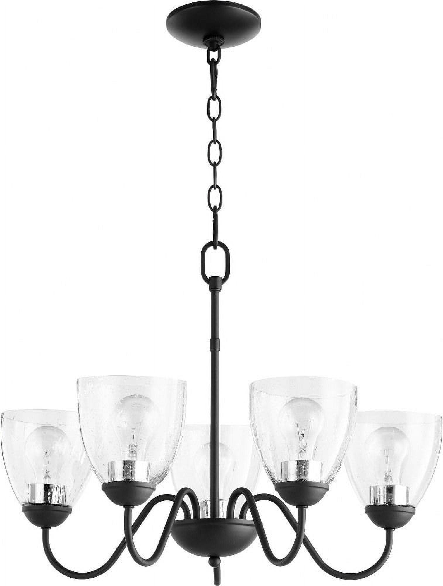 Black 5-Light Chandelier with Clear Seeded Shades