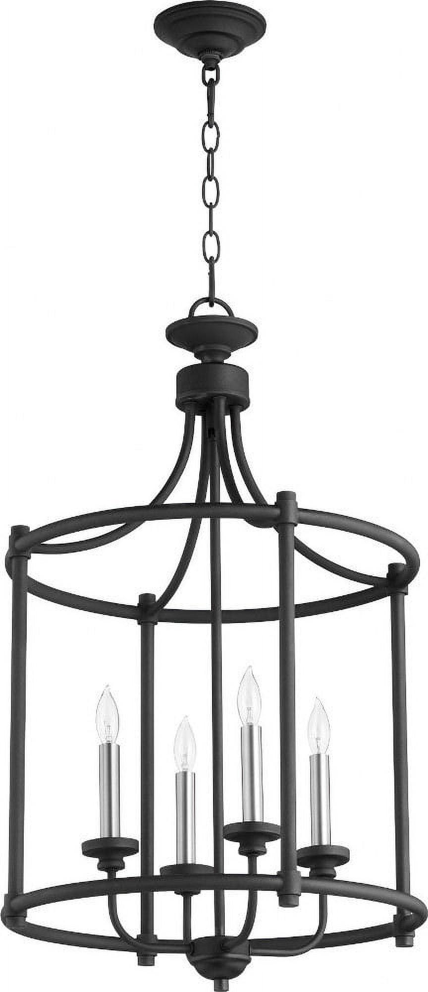 Noir Transitional 4-Light Indoor/Outdoor Large Cage Chandelier