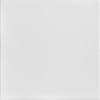 R22 - Basic Foam Glue-up Ceiling Tile in Plain White (21.6 Sq.ft / Pack) - 8 Pieces