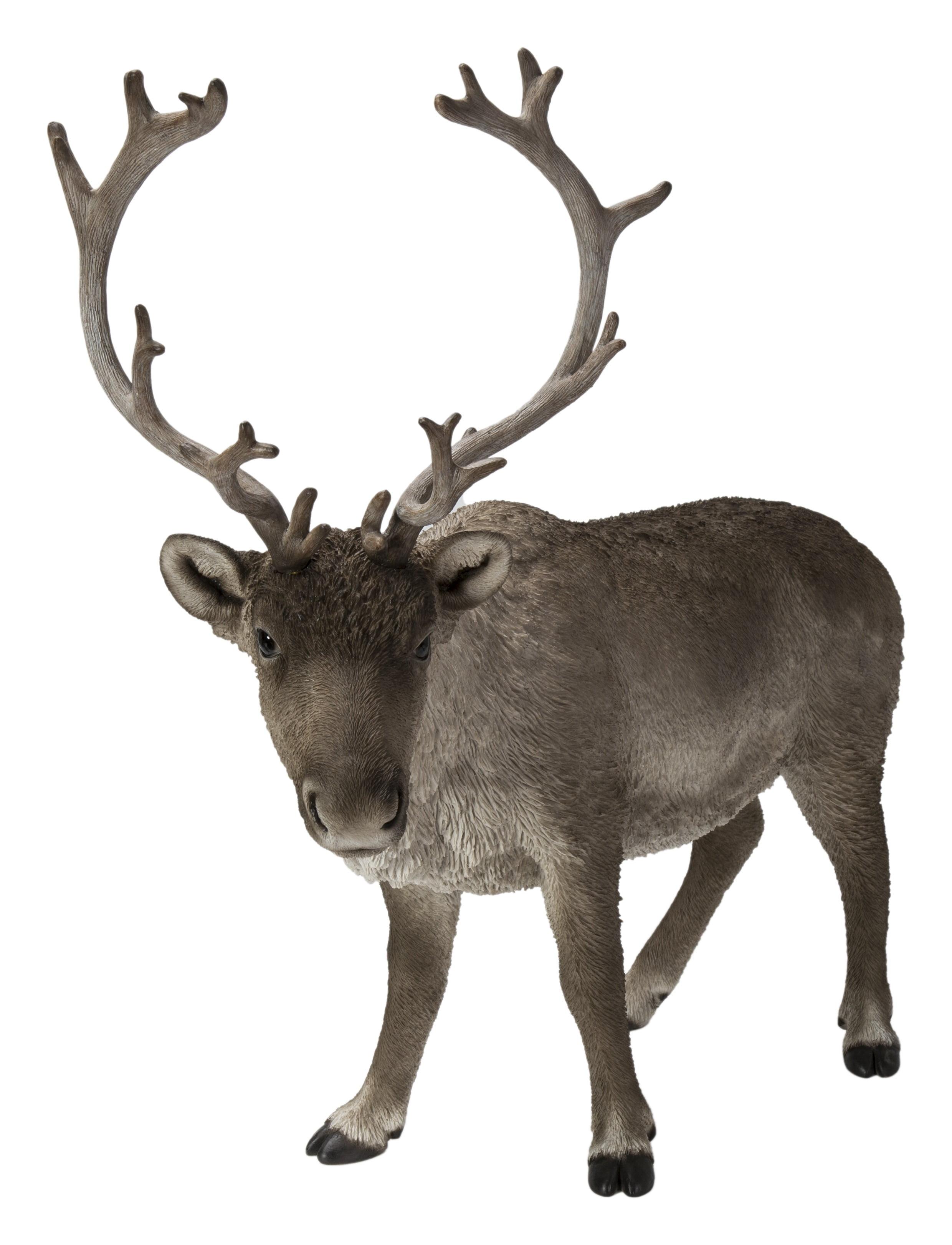 Hi-Line Gift Ltd. Reindeer Standing