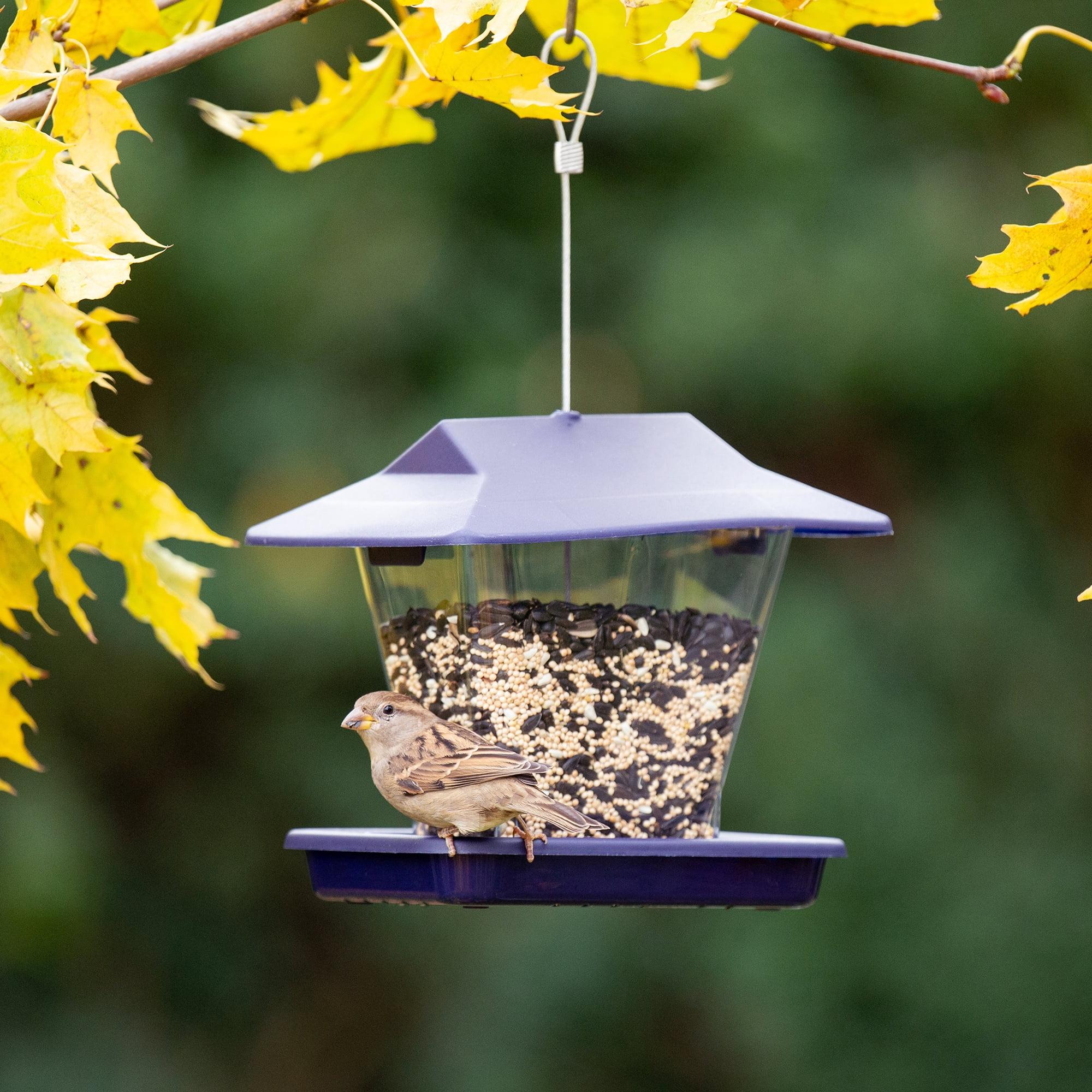 Blue and Clear Plastic Hanging Hopper Bird Feeder