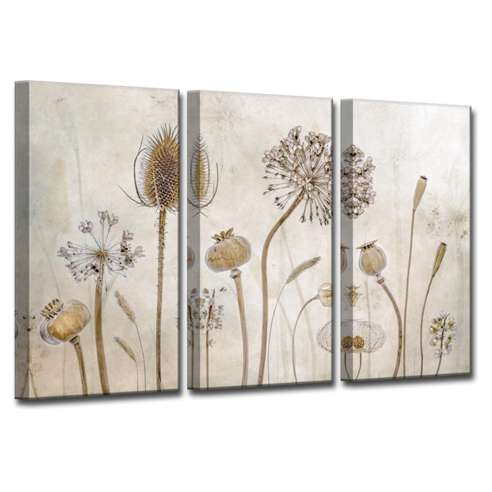 Sepia Botanical Framed Canvas Triptych Wall Art