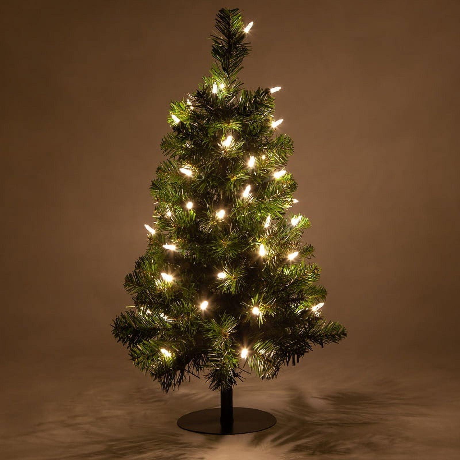 2-Foot Green Fir Tabletop Christmas Tree with Warm White LED Lights