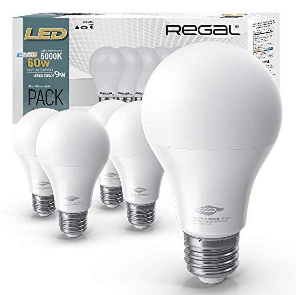 60 Watt Equivalent A19 E26/Medium (Standard) 5000K LED Bulb