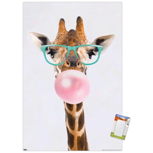 Trends International Reinders - Funky Giraffe Unframed Wall Poster Print White Mounts Bundle 14.725" x 22.375"