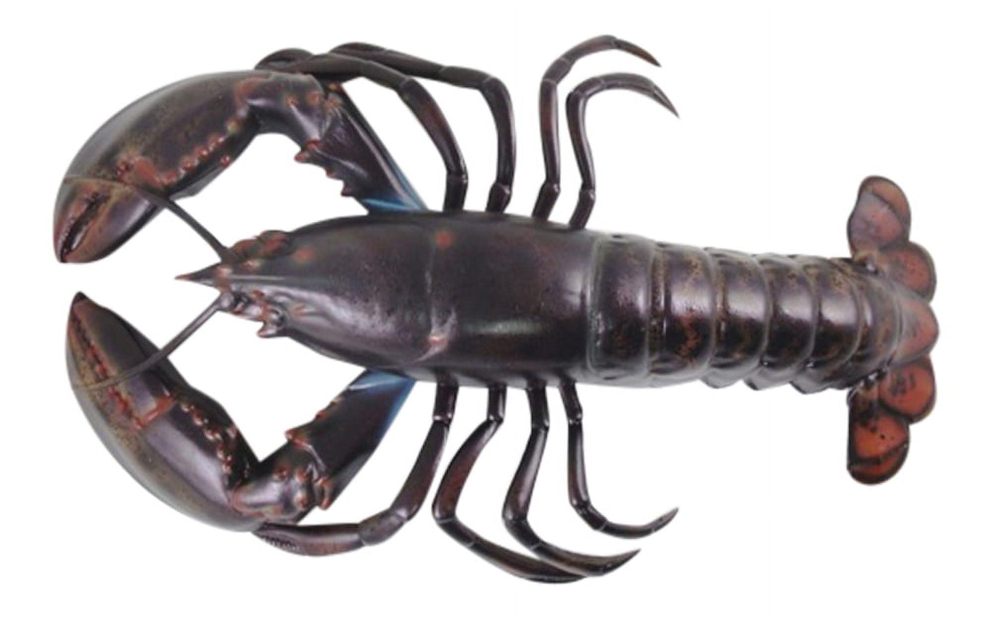 Replica 16 Inch Maine Ocean Coastal Sea Lobster Fishing Wall Decor