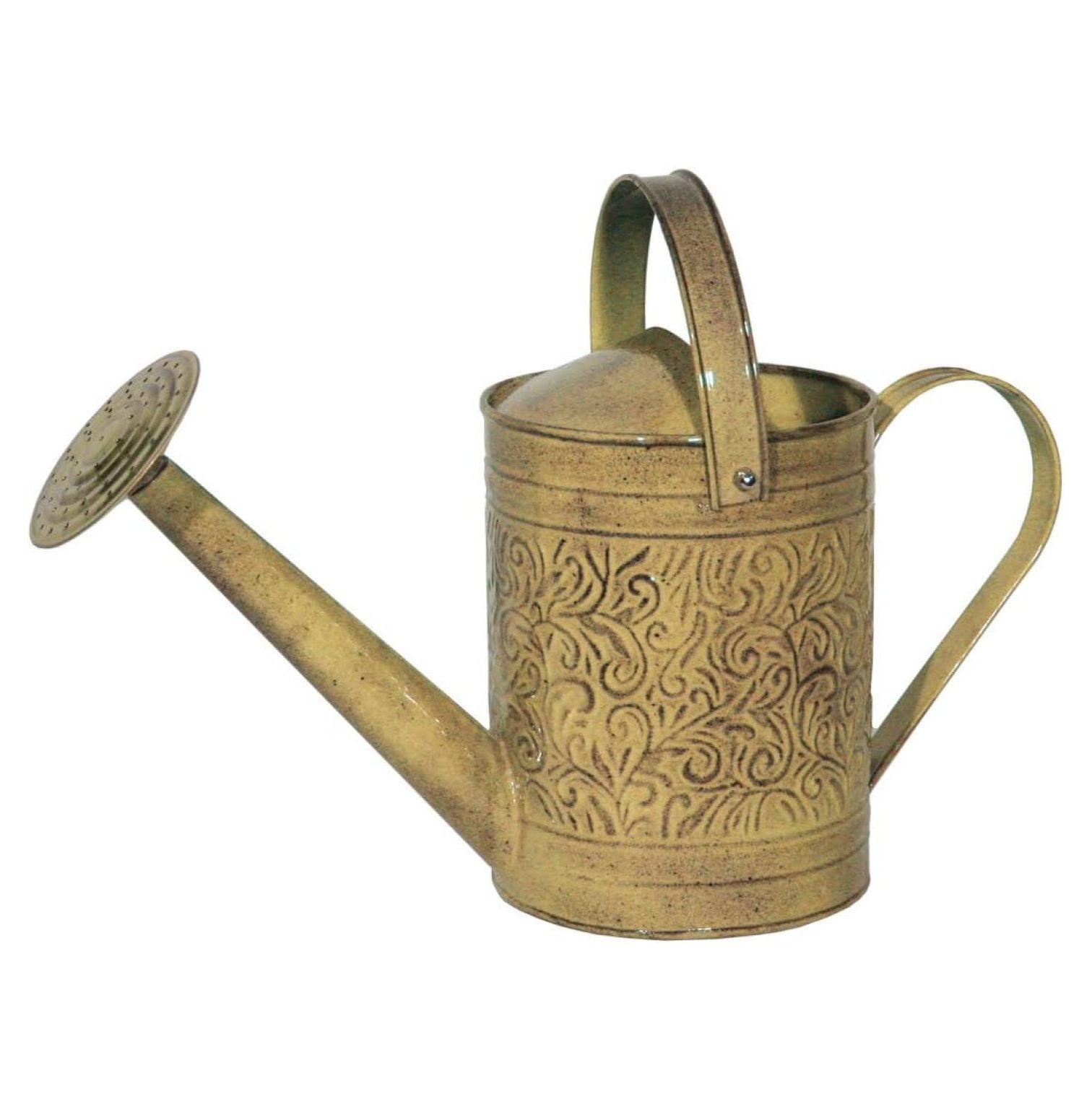 Robert Allen Topaz 1 gal Metal Morgan Watering Can