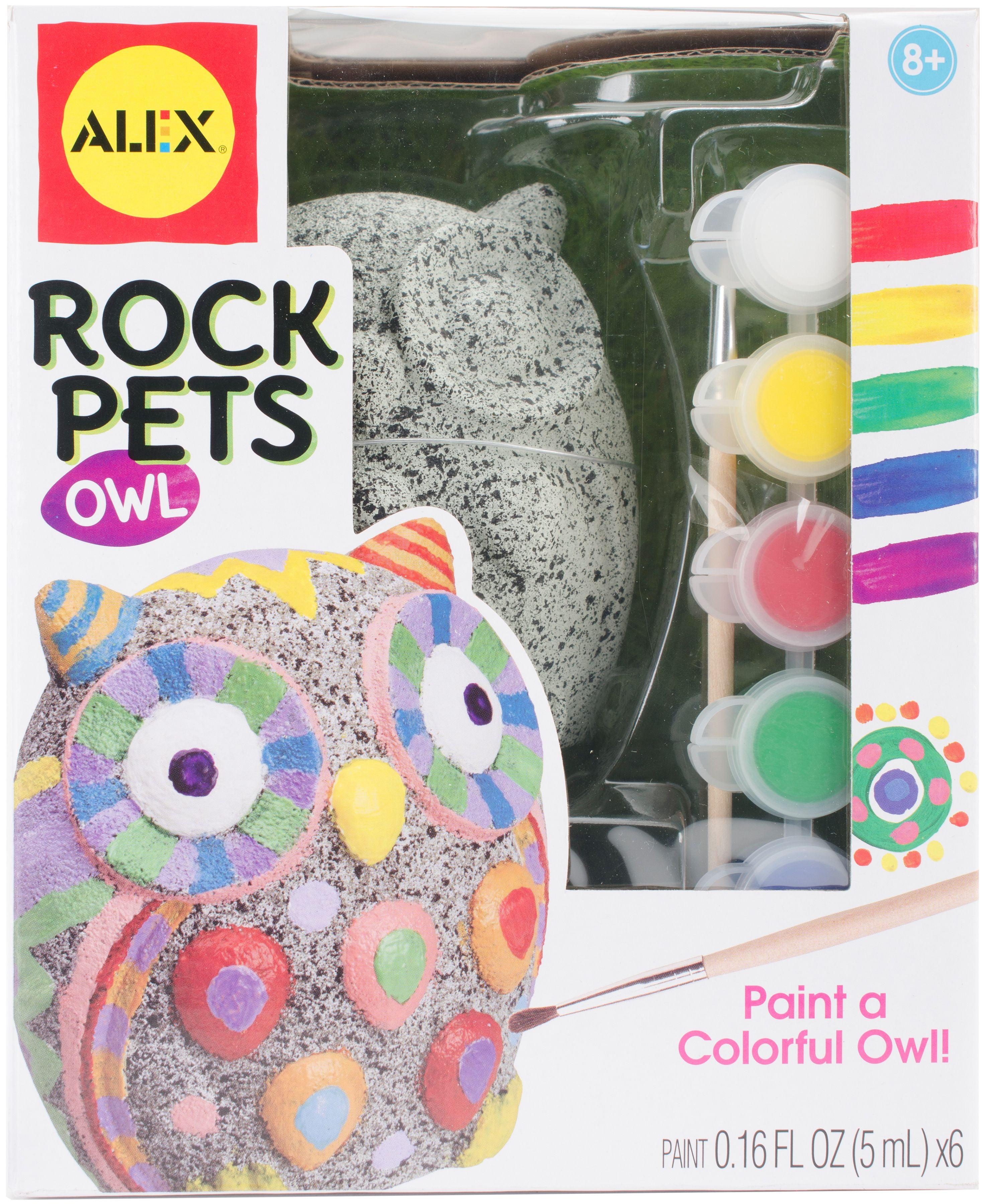 Colorful Owl Rock Painting Kit for Kids