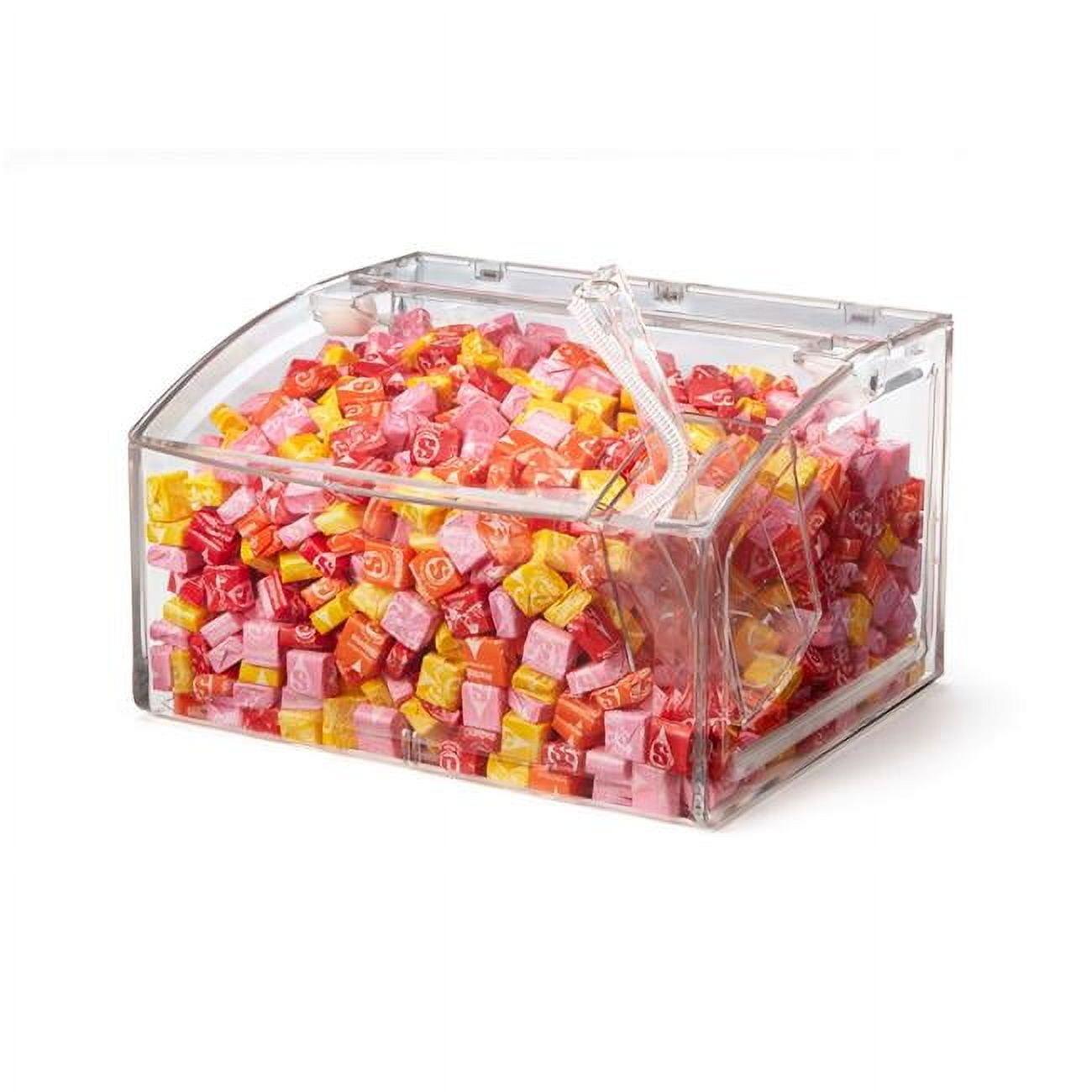 2.1 gal Clear Scoop Bin with Scoop