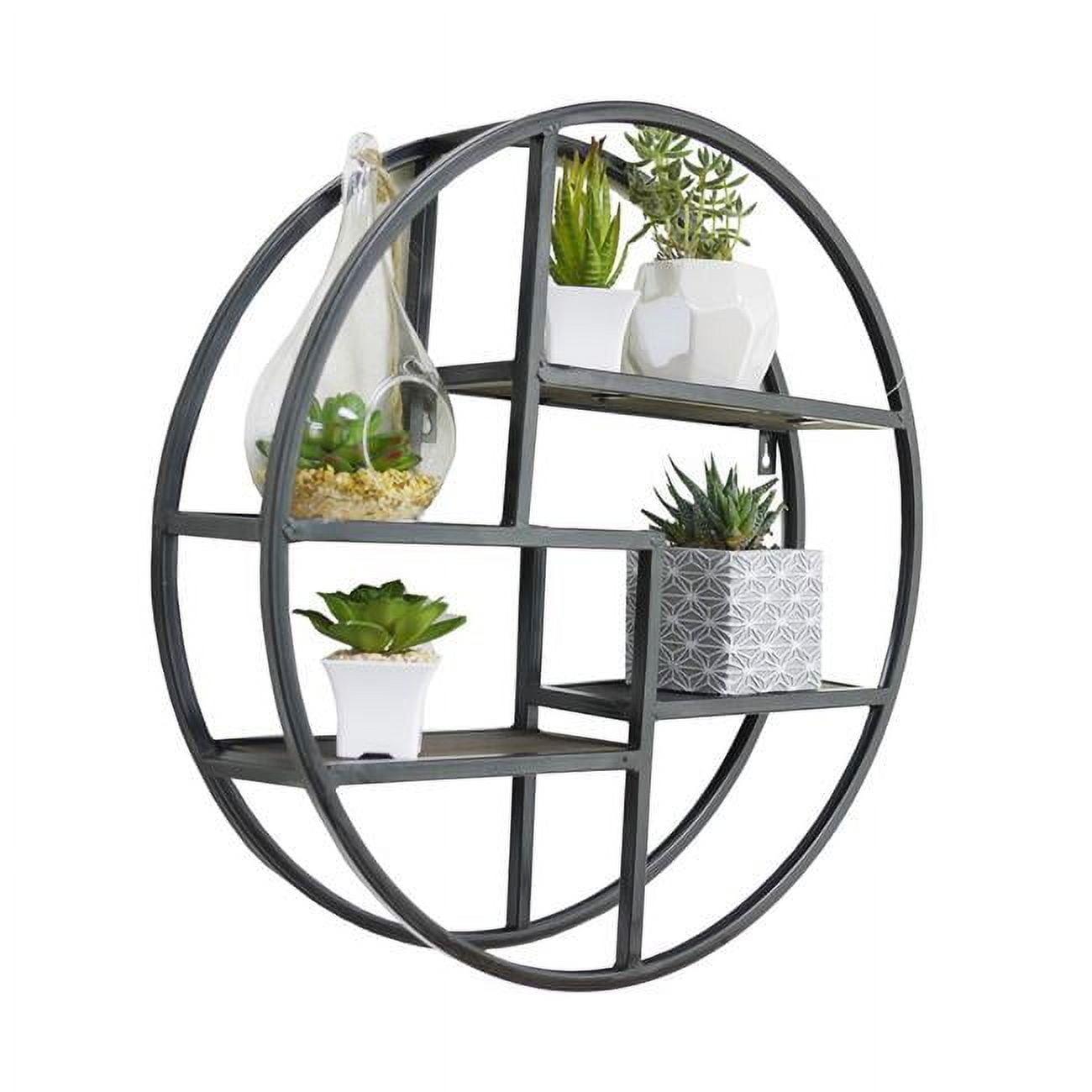 Admired by Nature  Round Wall Mounted Iron Hanging Storage Floating Shelves, Black