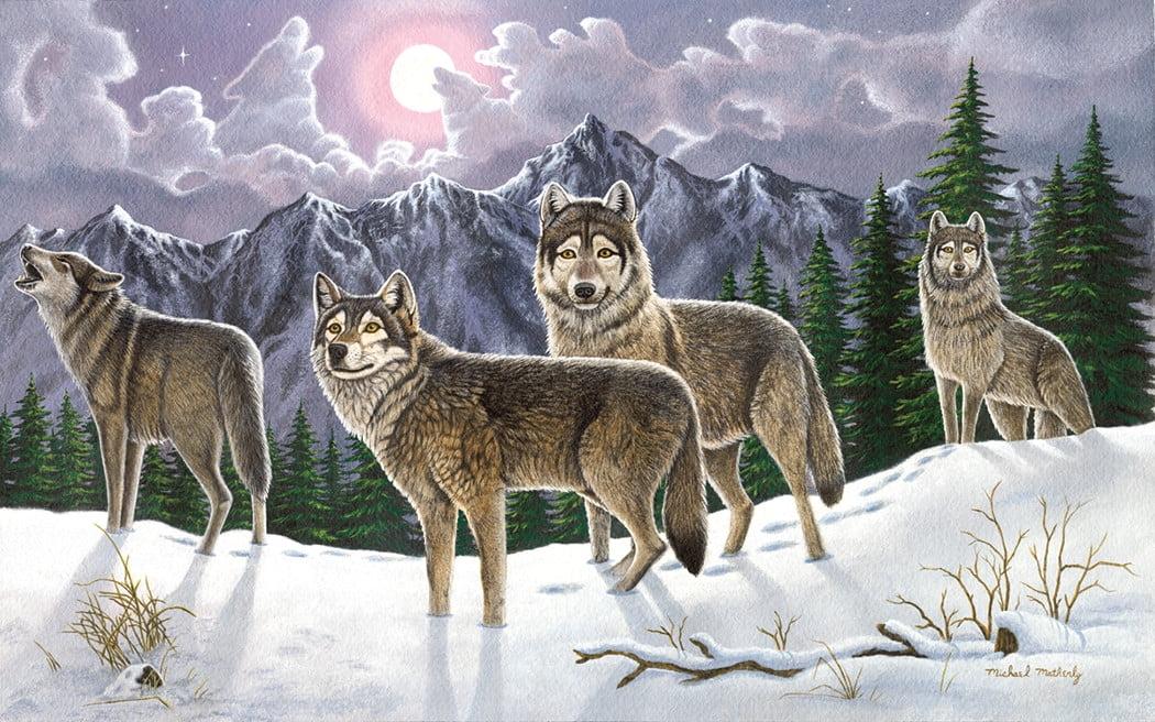 Royal Brush Adult Painting by Numbers Kit, Wolves