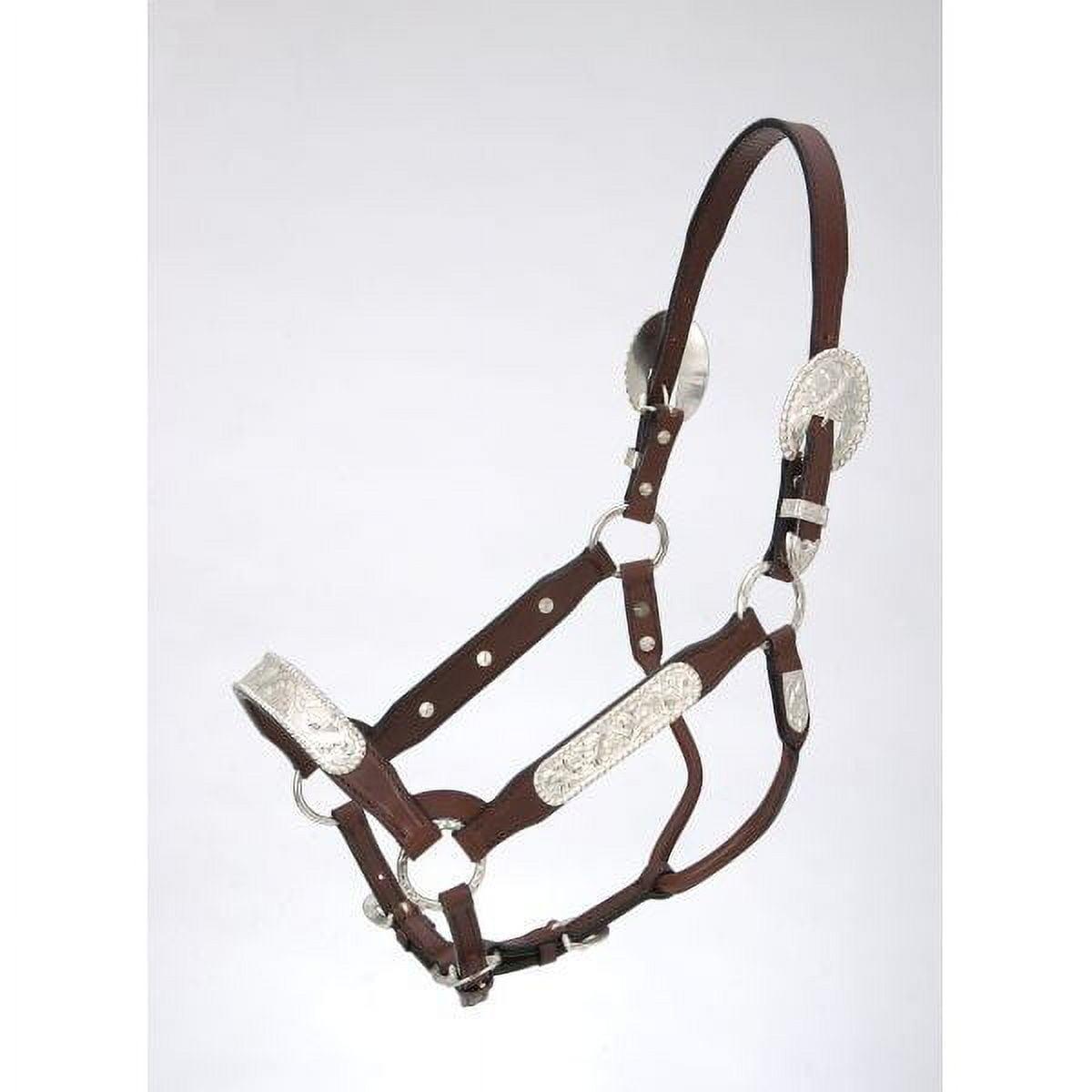 Royal King Congress Show Halter Weanling
