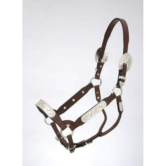Royal King Congress Show Halter Weanling
