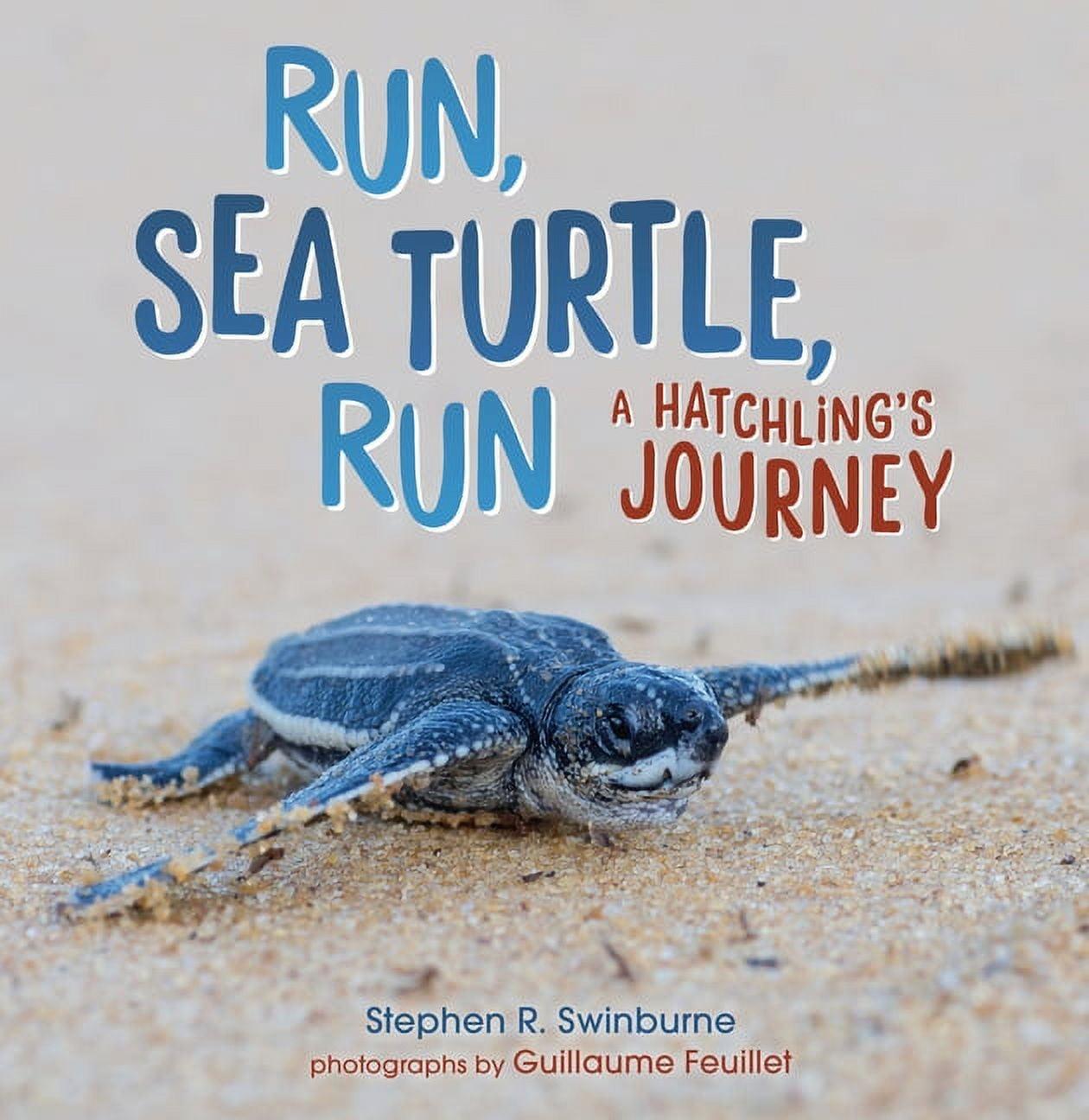 Run, Sea Turtle, Run: A Hatchling's Journey Paperback